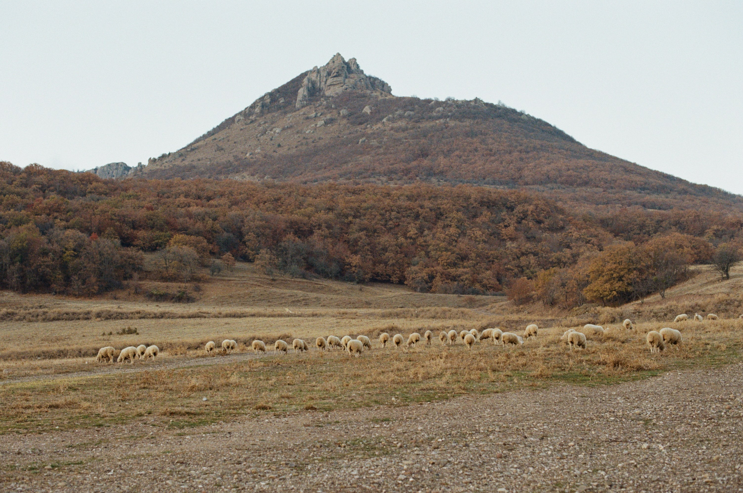 Wherever you will go // ukraine, crimea V. EVER EXPOSED