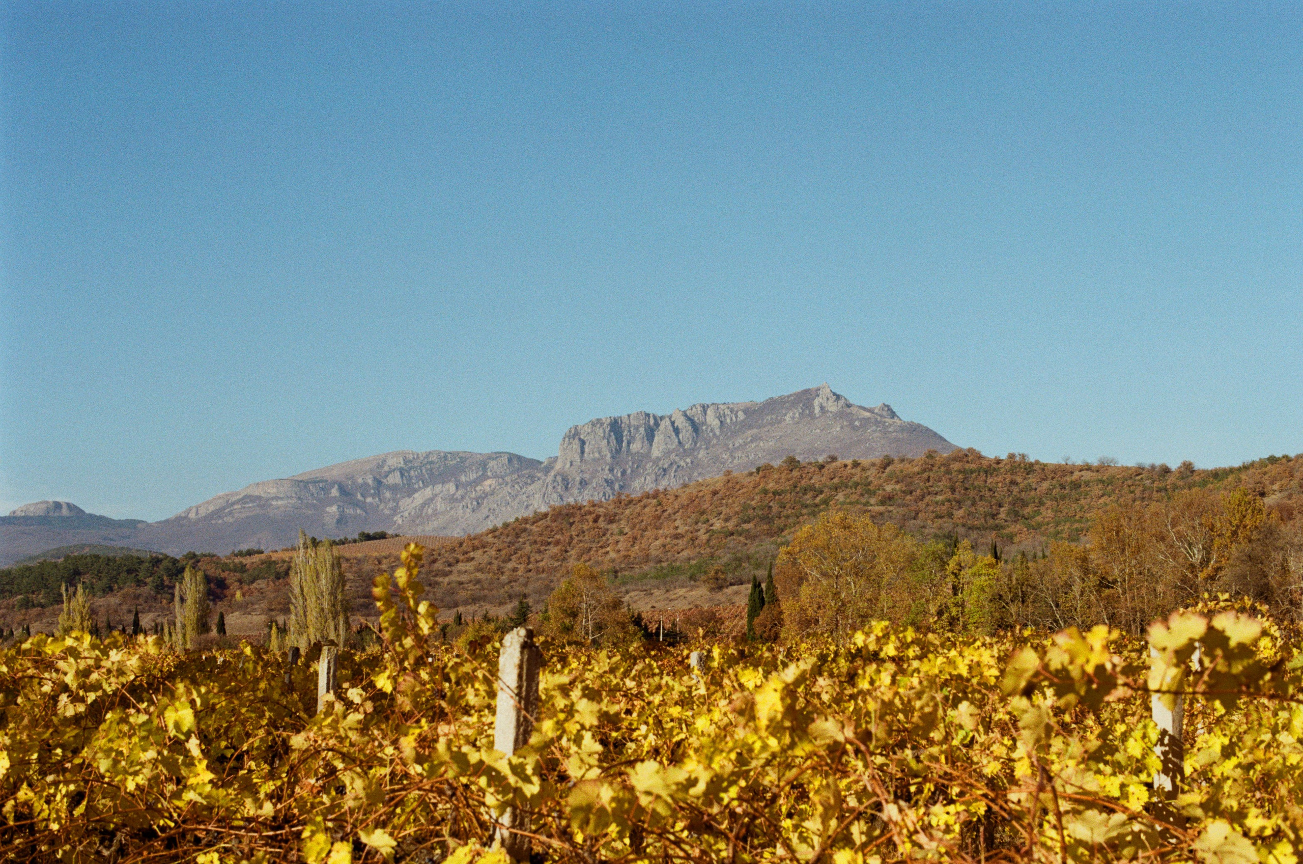 Wherever you will go // ukraine, crimea IV. EVER EXPOSED
