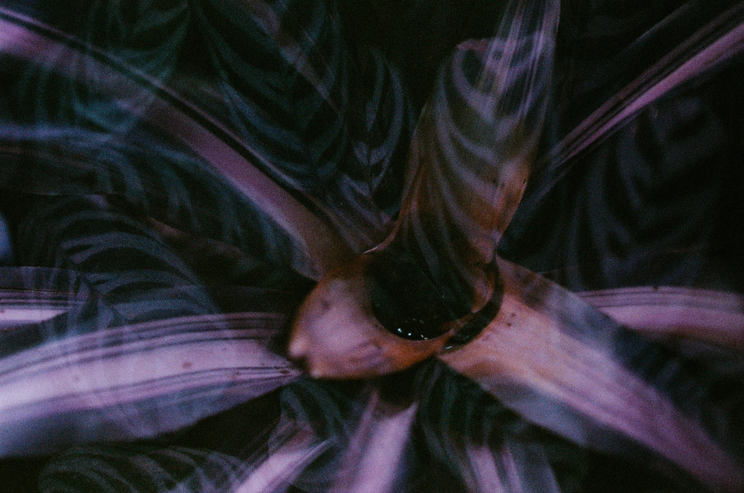 If i get high. EVER EXPOSED