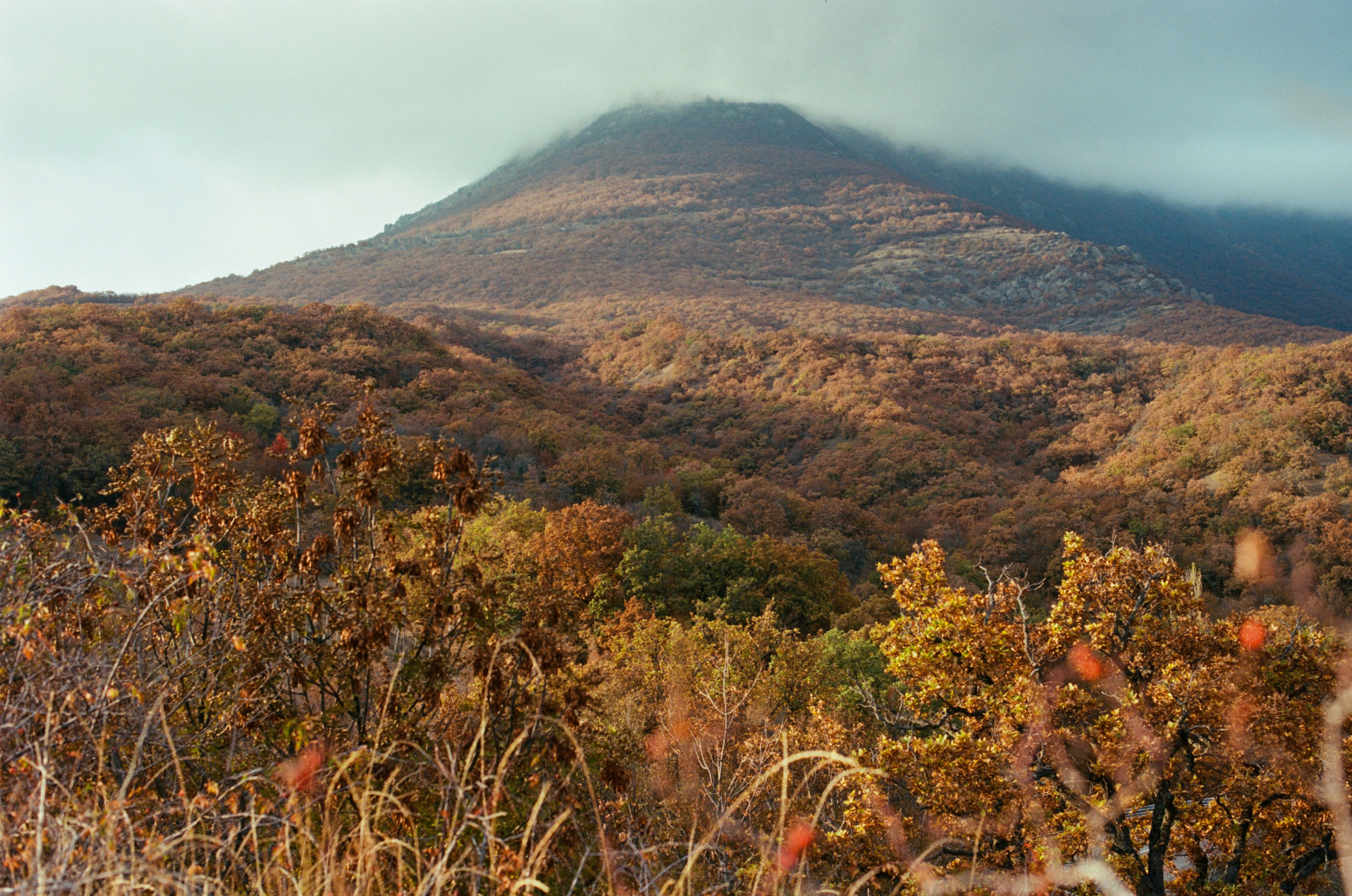 Wherever you will go // ukraine, crimea II. EVER EXPOSED