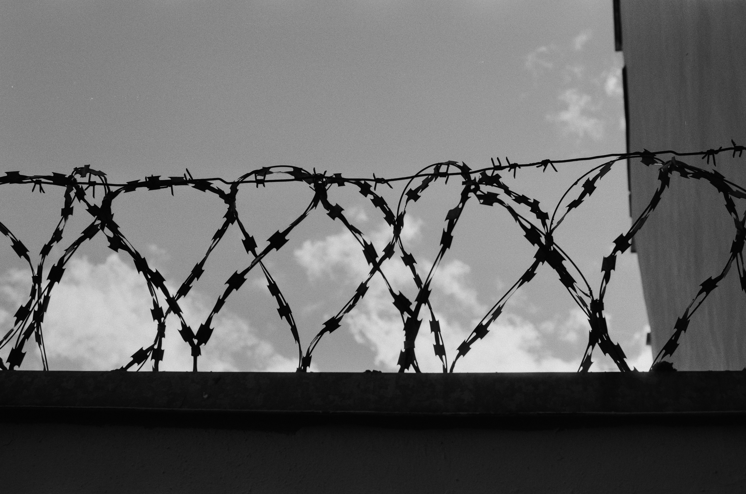 Black dog petersburg // st.-petersburg II. EVER EXPOSED