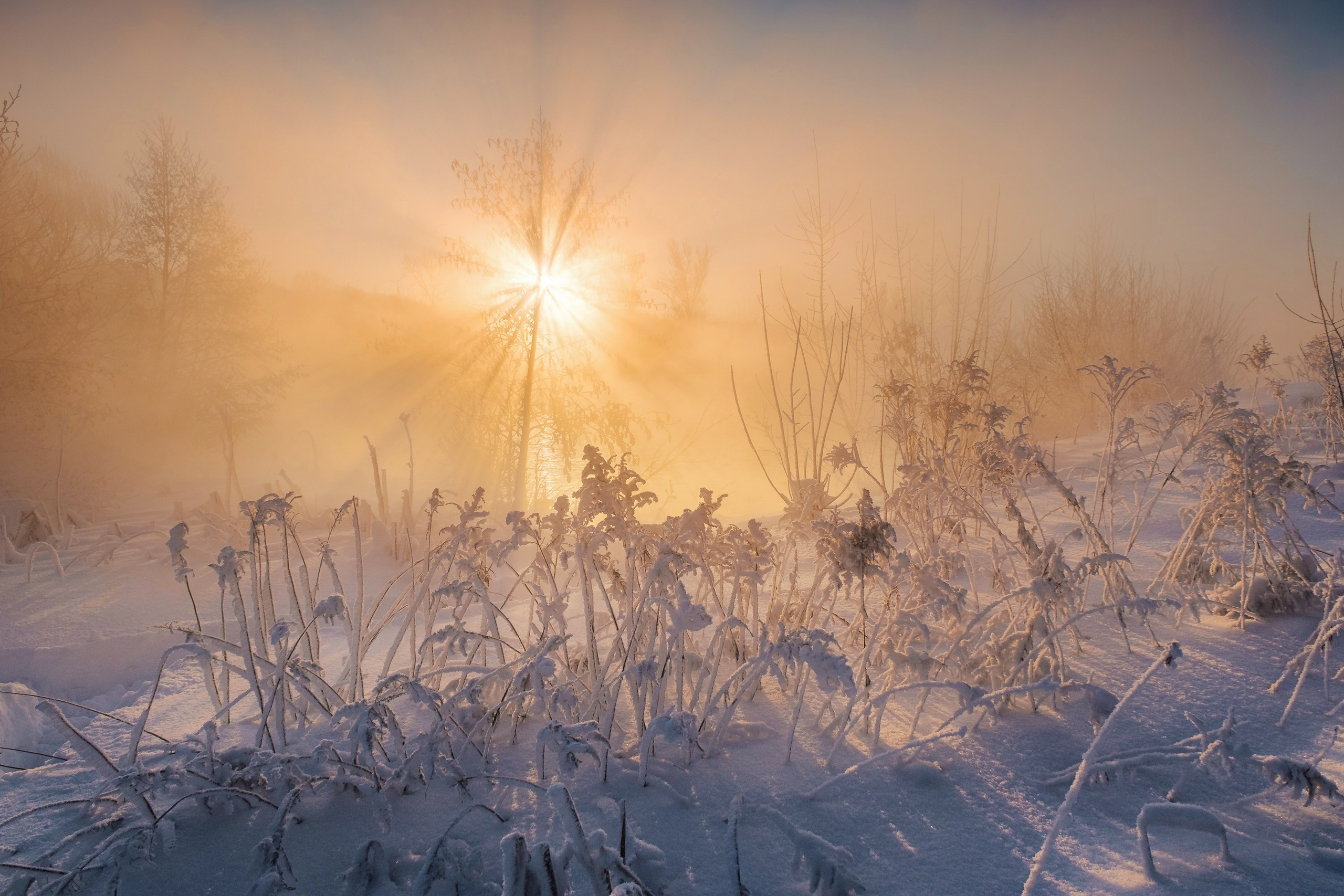 Озеро Горячка. Фотограф и видеооператор в Туле | Даниил Рыбак