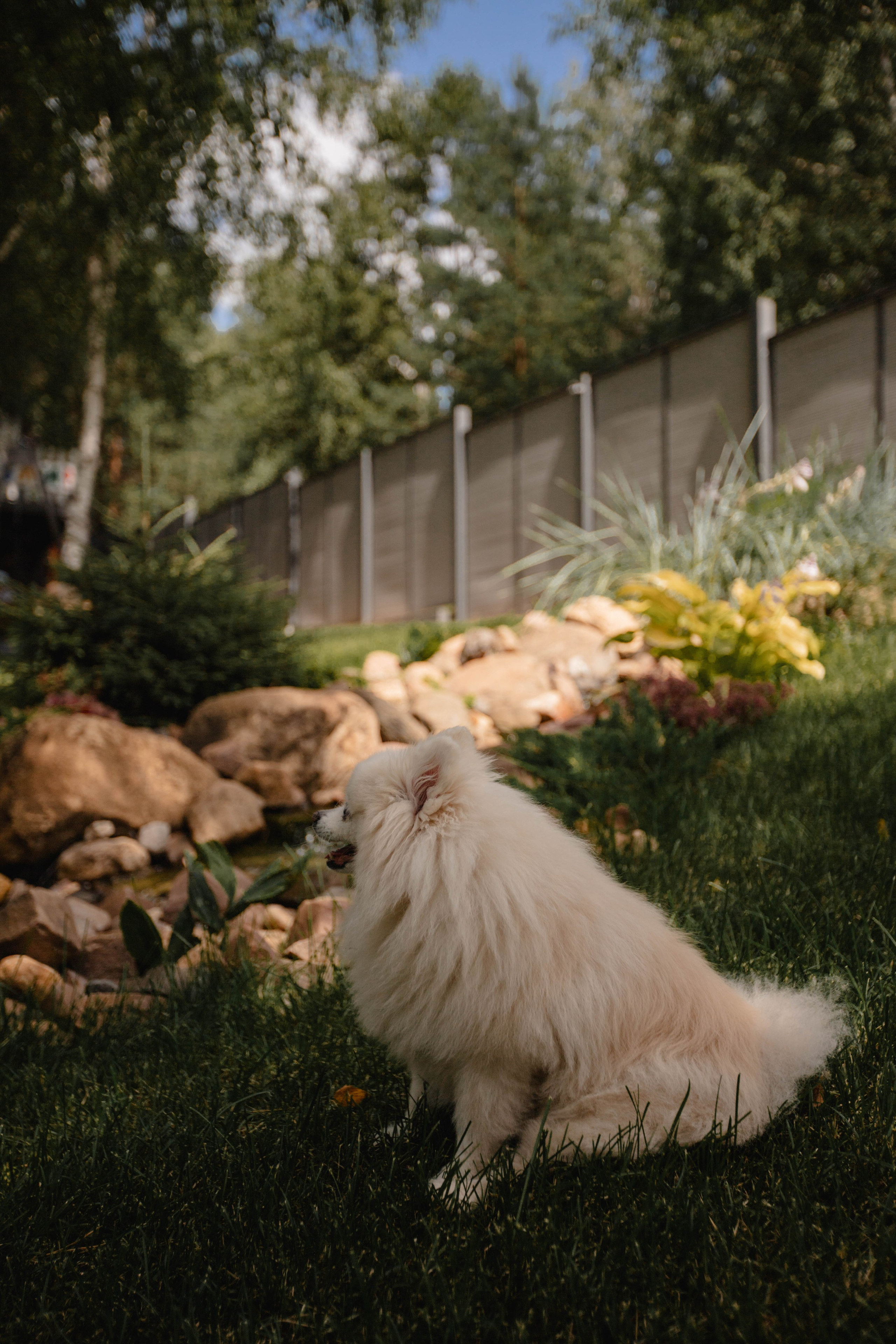 День Рождения :)