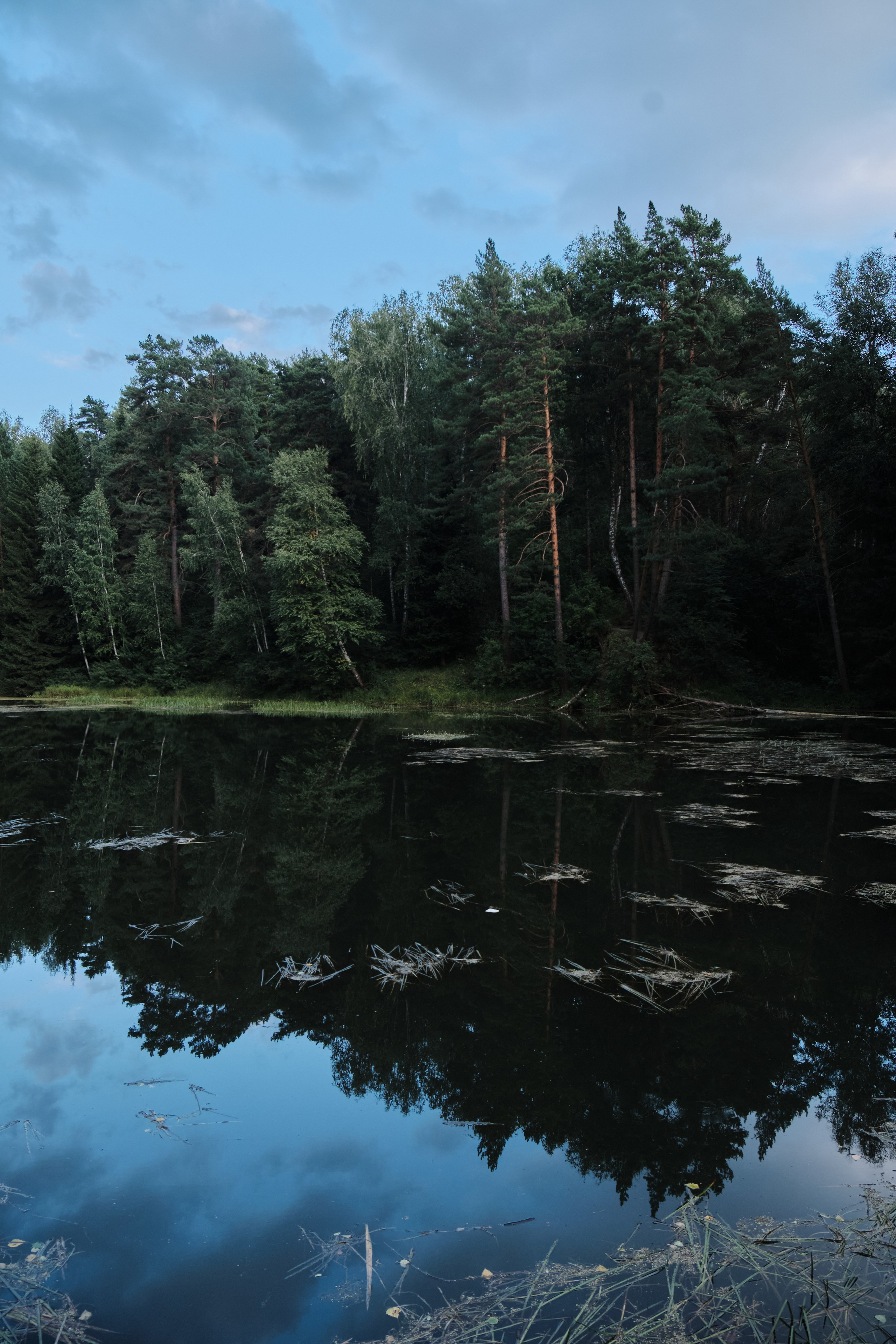 Академ-городок и ботанический сад. Goncharov Tim