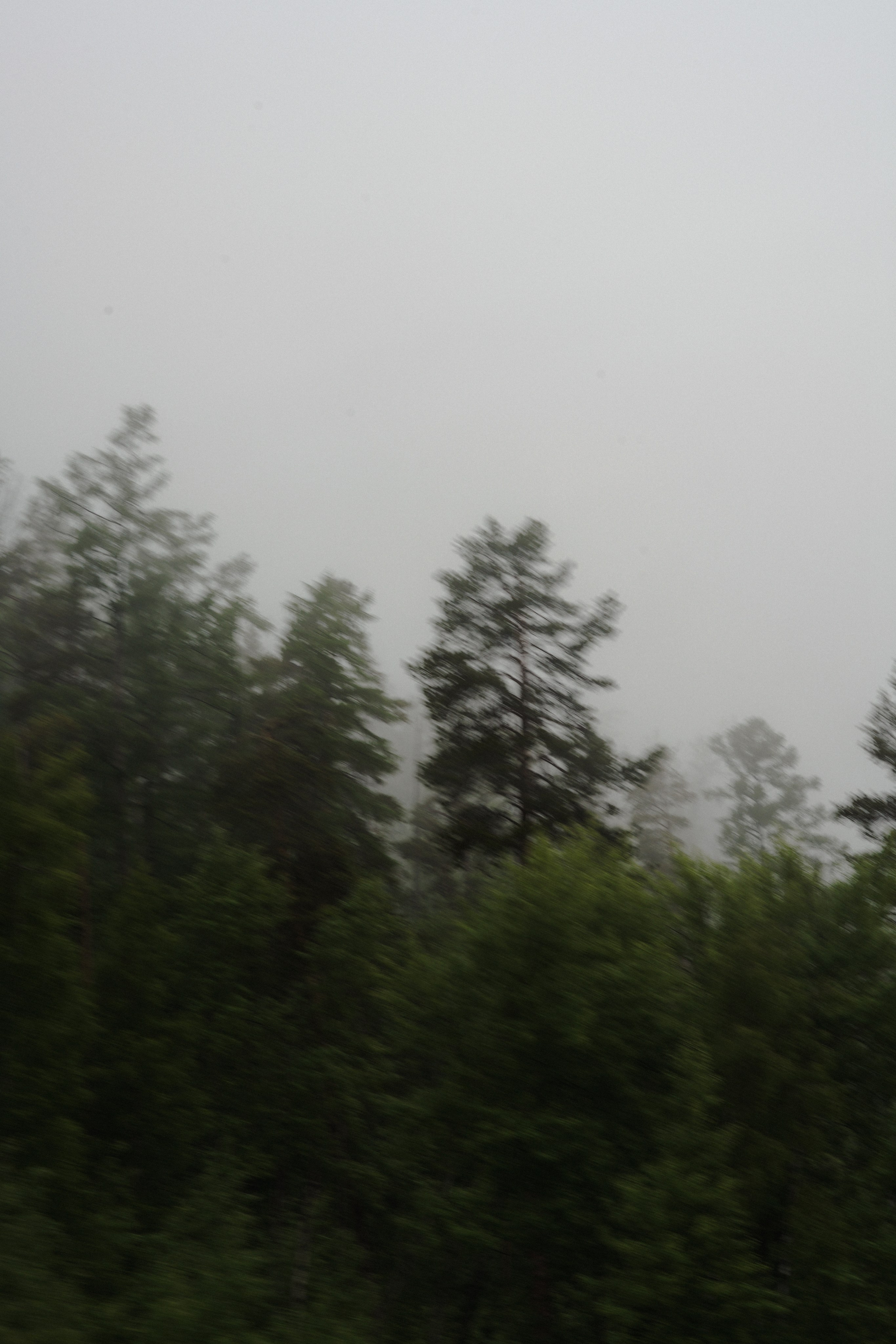 BAIKAL 06|24. Фотограф Виктория Виноградова