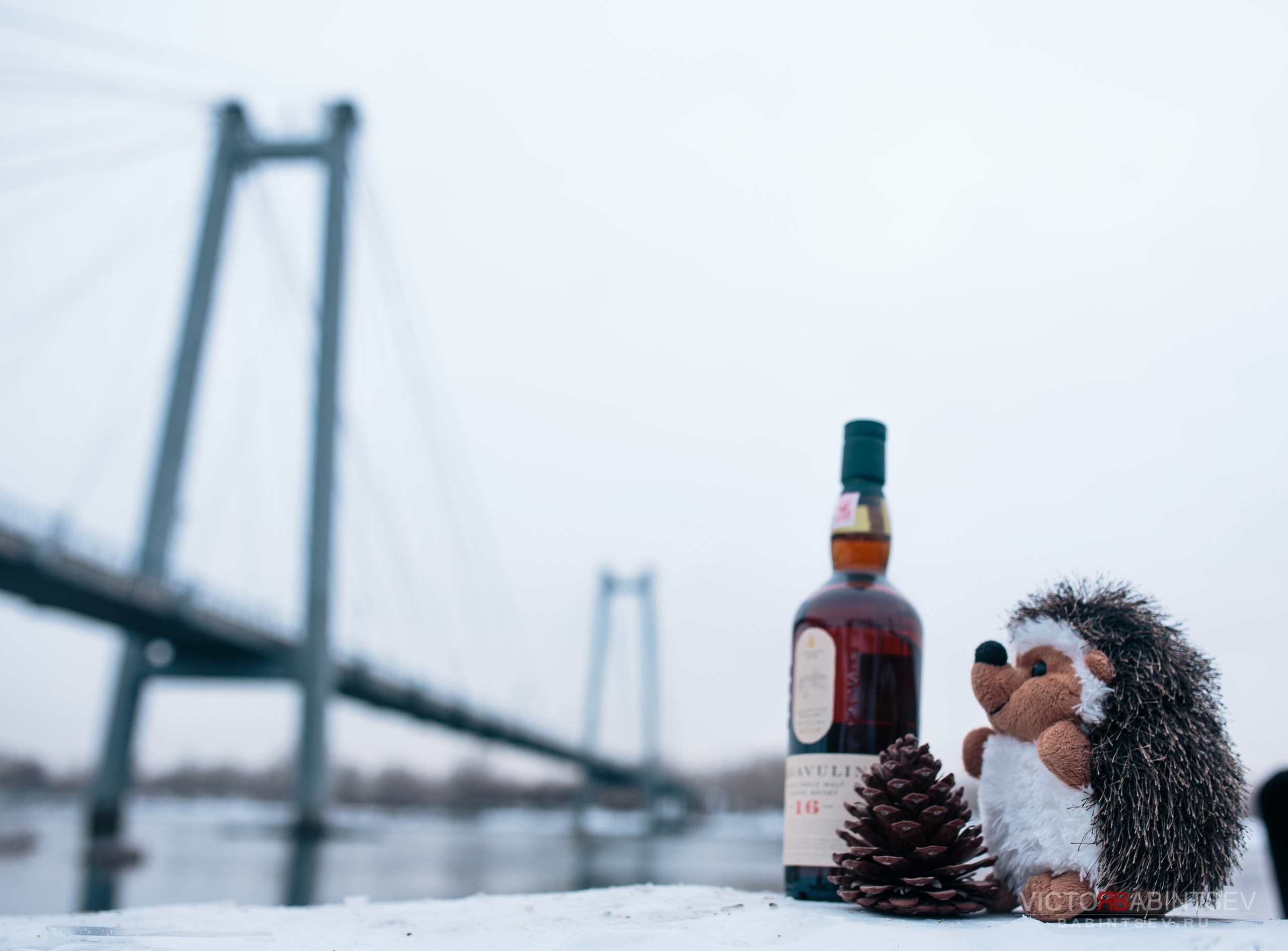Whisky. Семейный и репортажной фотограф в Красноярске и Москве Виктор Бабинцев