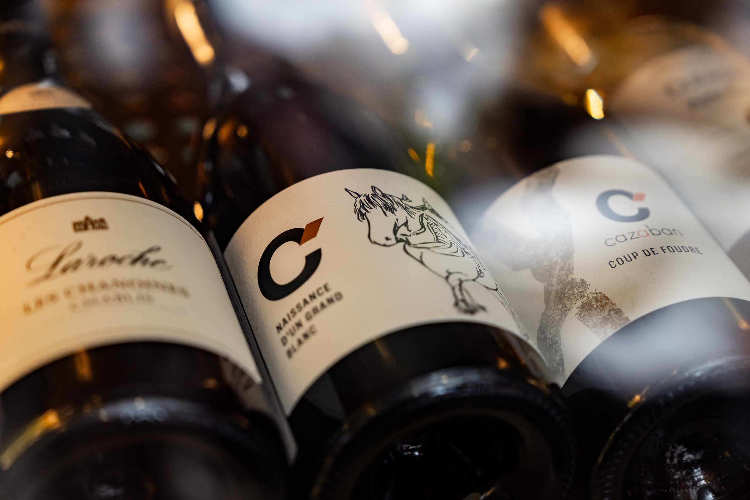 Le Pigeon — Русские сезоны и Балет «Дягилев». Фотограф Никита Комаров