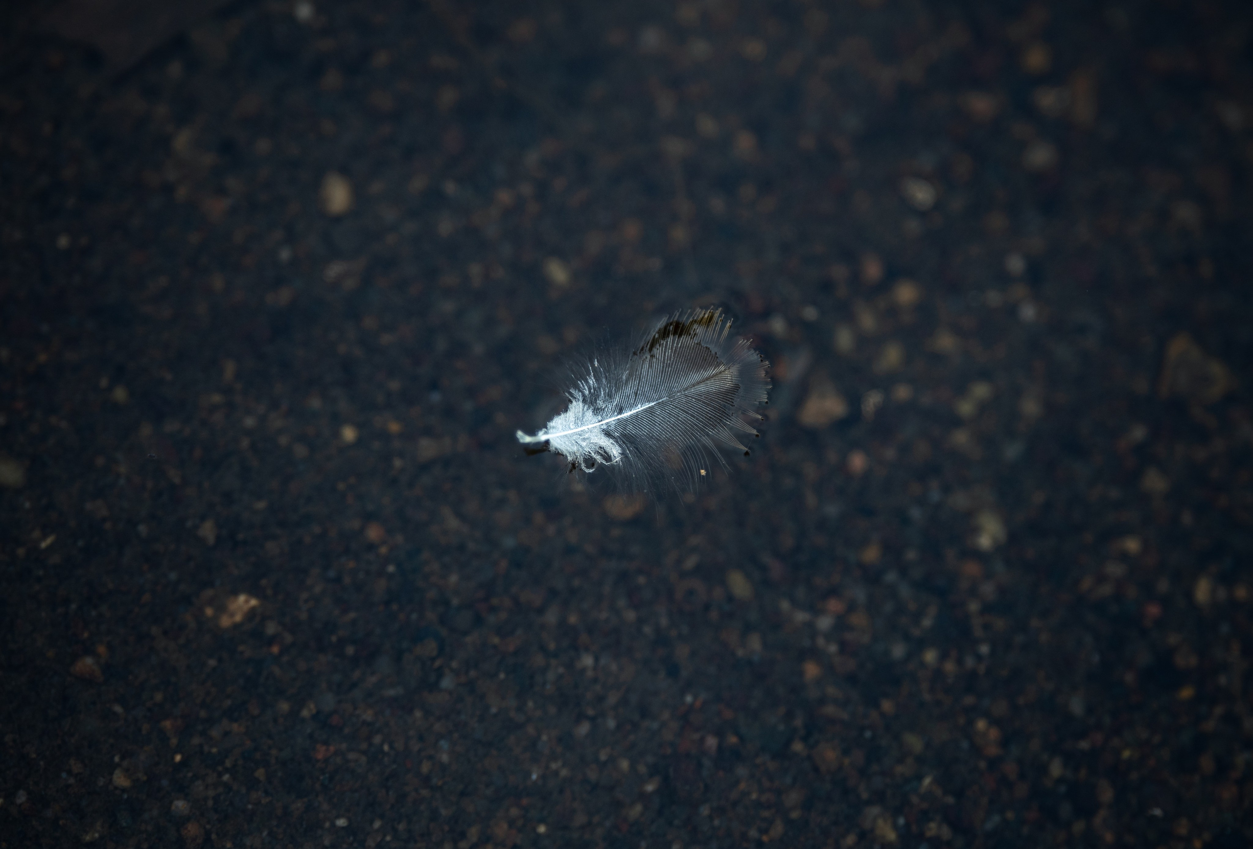 Природные пейзажи. Наталия Клевинскас портретный фотограф в Костроме