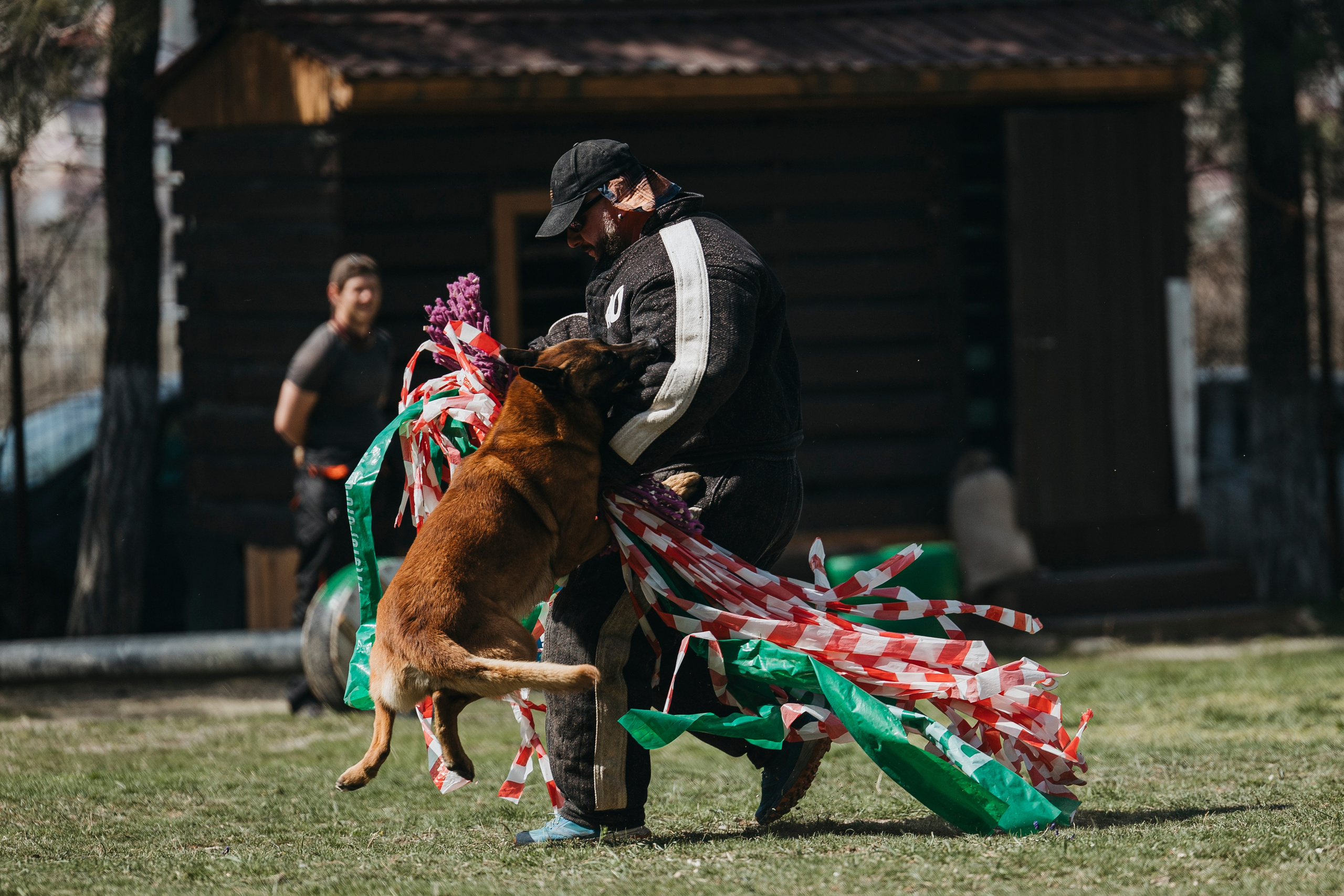 Геленджик Мондьоринг. Фотограф-анималист Анна Маринич