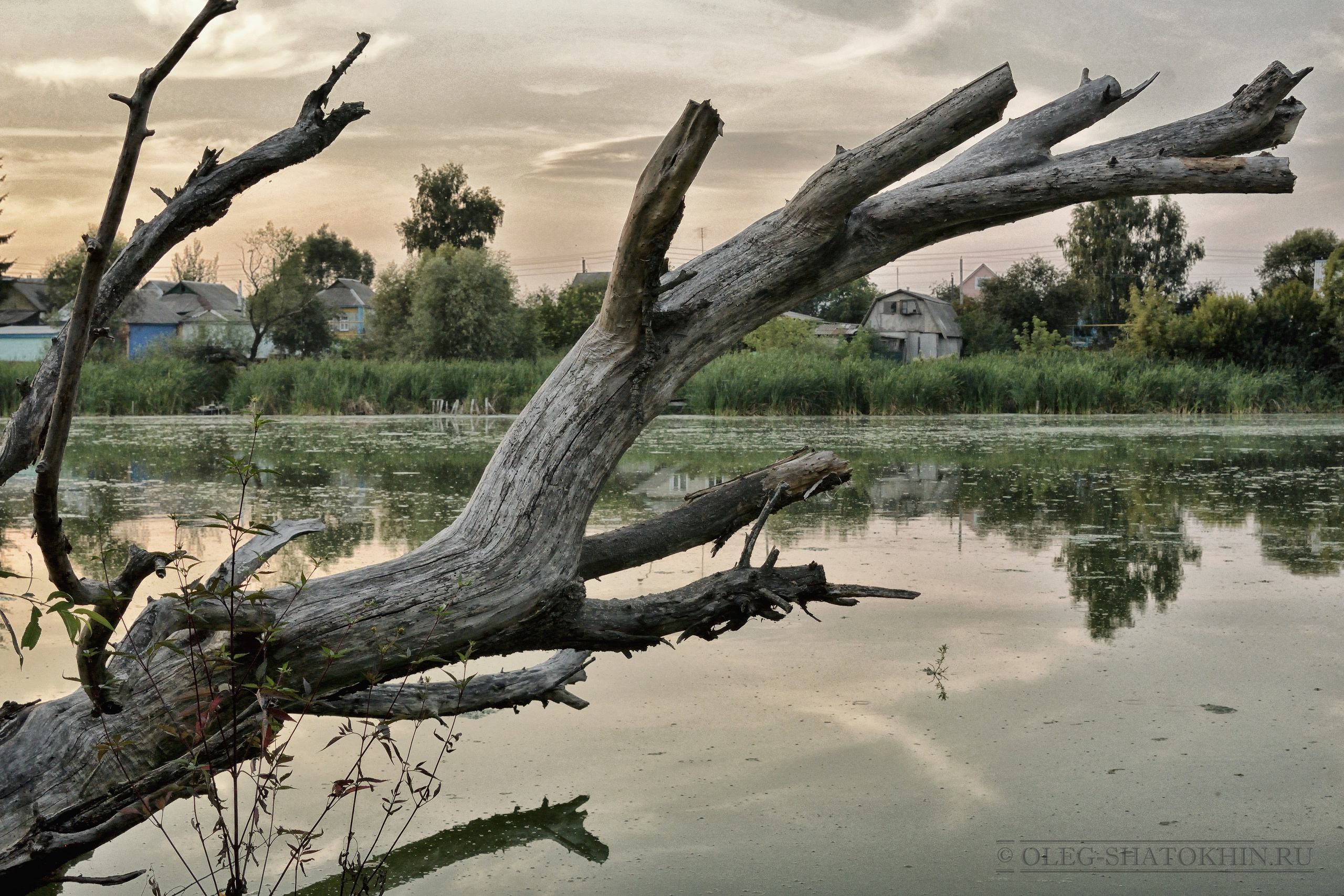 Пейзажи. Свадебный фотограф Олег Шатохин  Москва и Московской область
