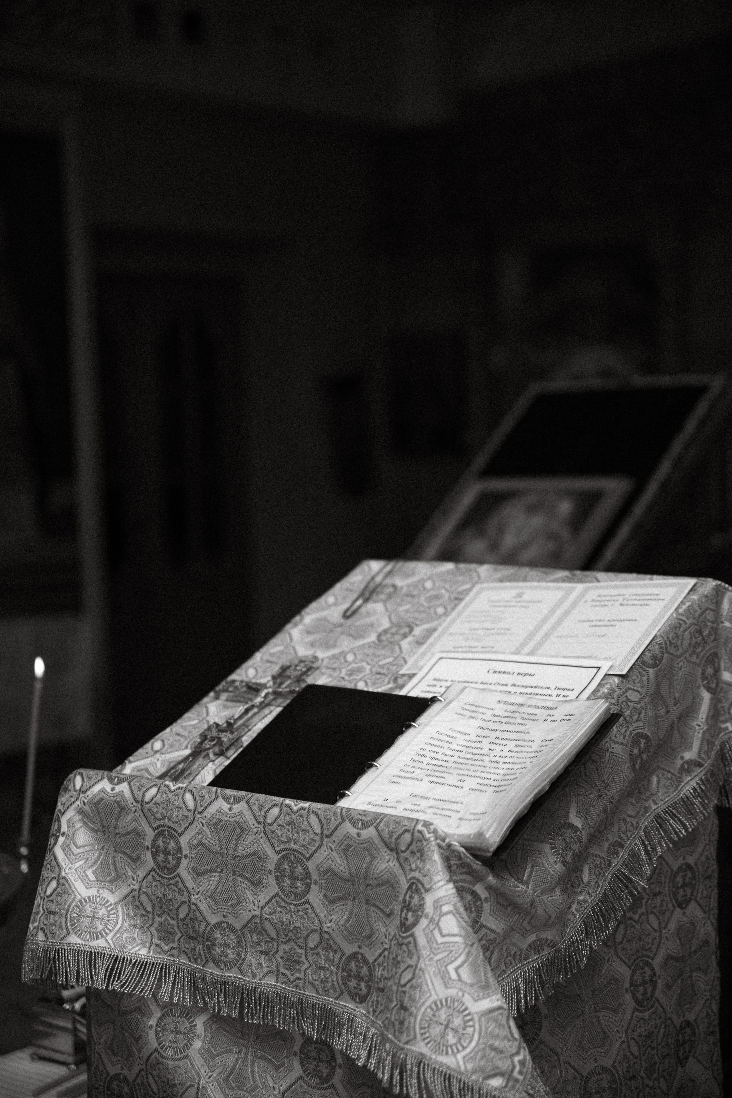 Рада. АНАСТАСИЯ КУЗНЕЦОВА | ФОТОГРАФ ЧЕБОКСАРЫ