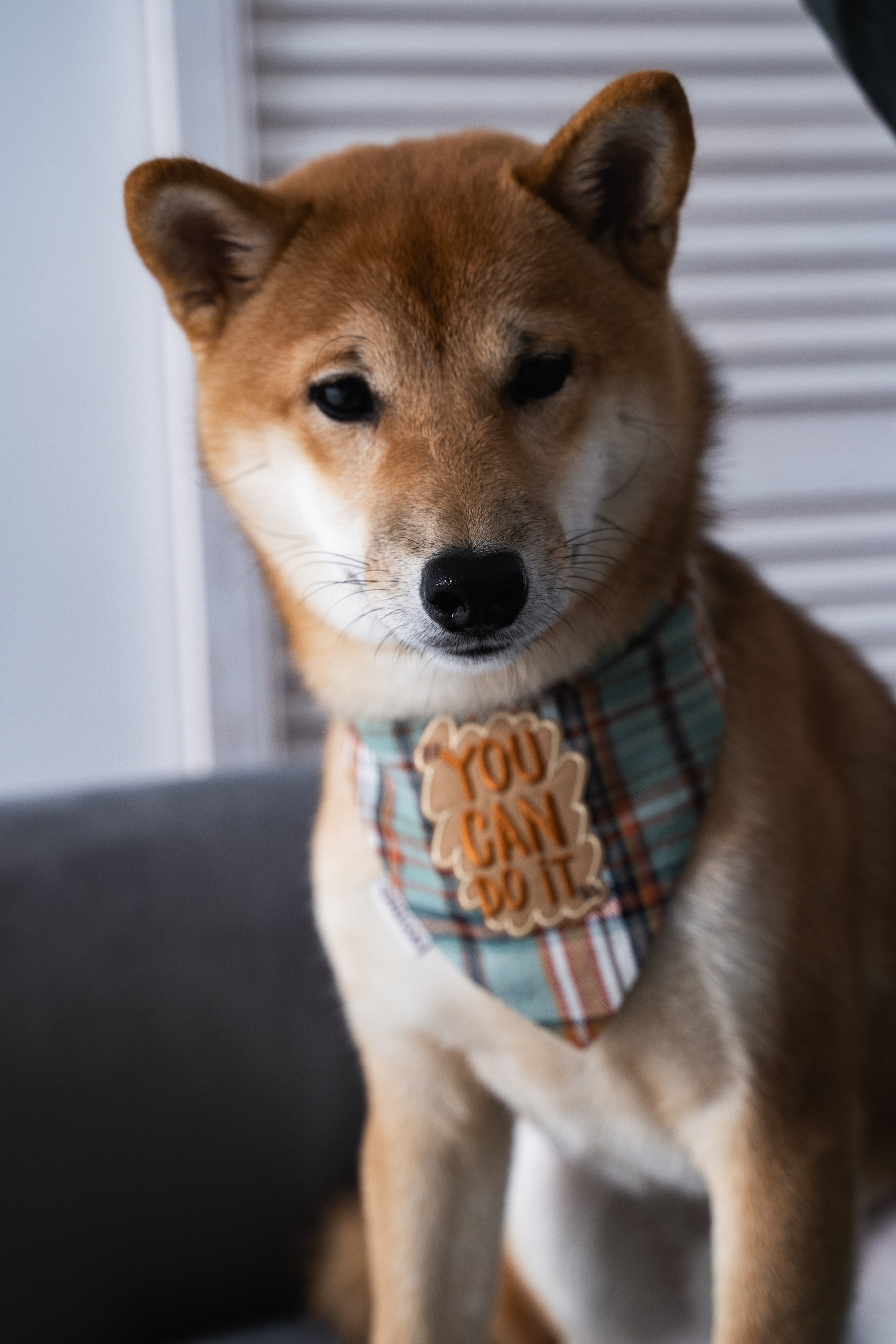 George and Arthas. Rezyame