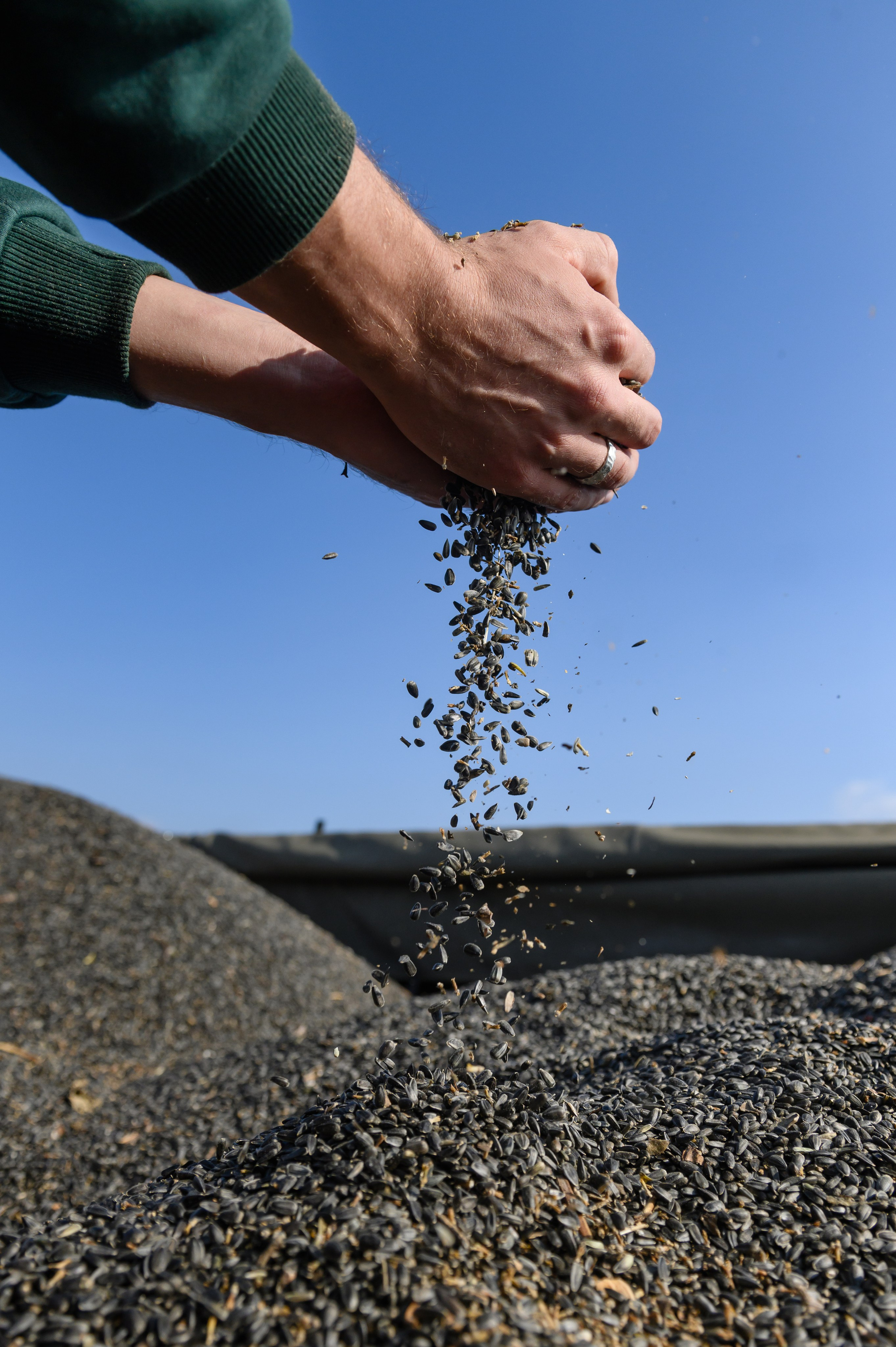 Проекты. Профессиональный фотограф Вячеслав Плацында | Липецк |
