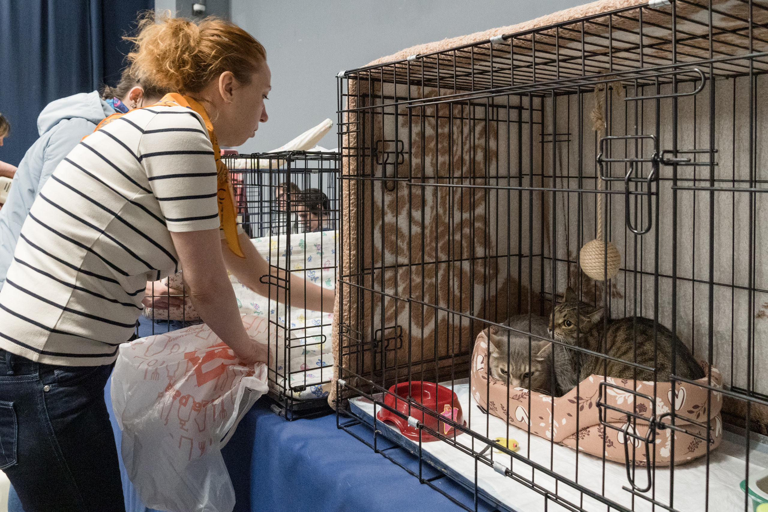 Репортажная фотосъемка мероприятия. Интерьерный и архитектурный фотограф в Москве Панова Ольга