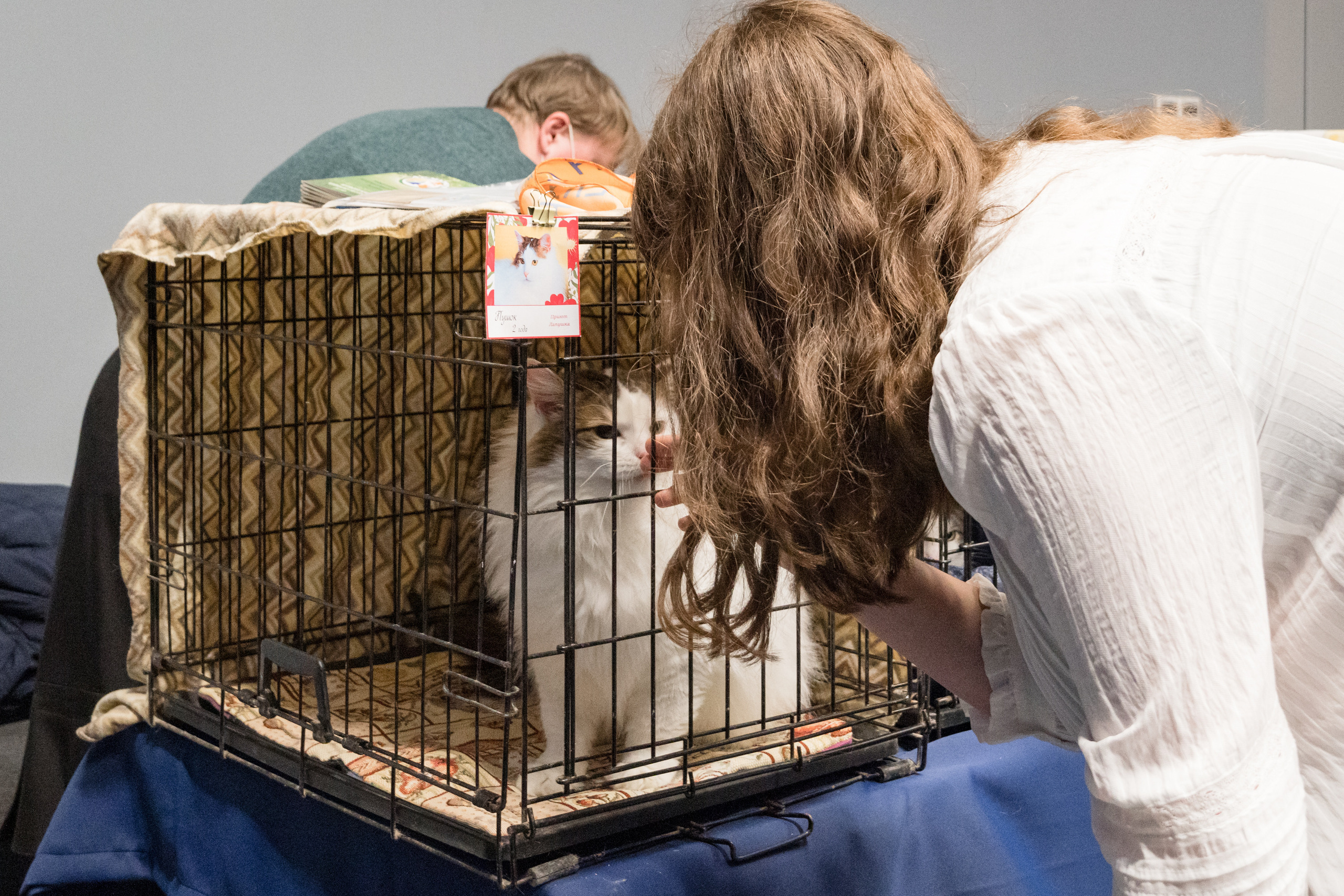 Репортажная фотосъемка мероприятия. Интерьерный и архитектурный фотограф в Москве Панова Ольга