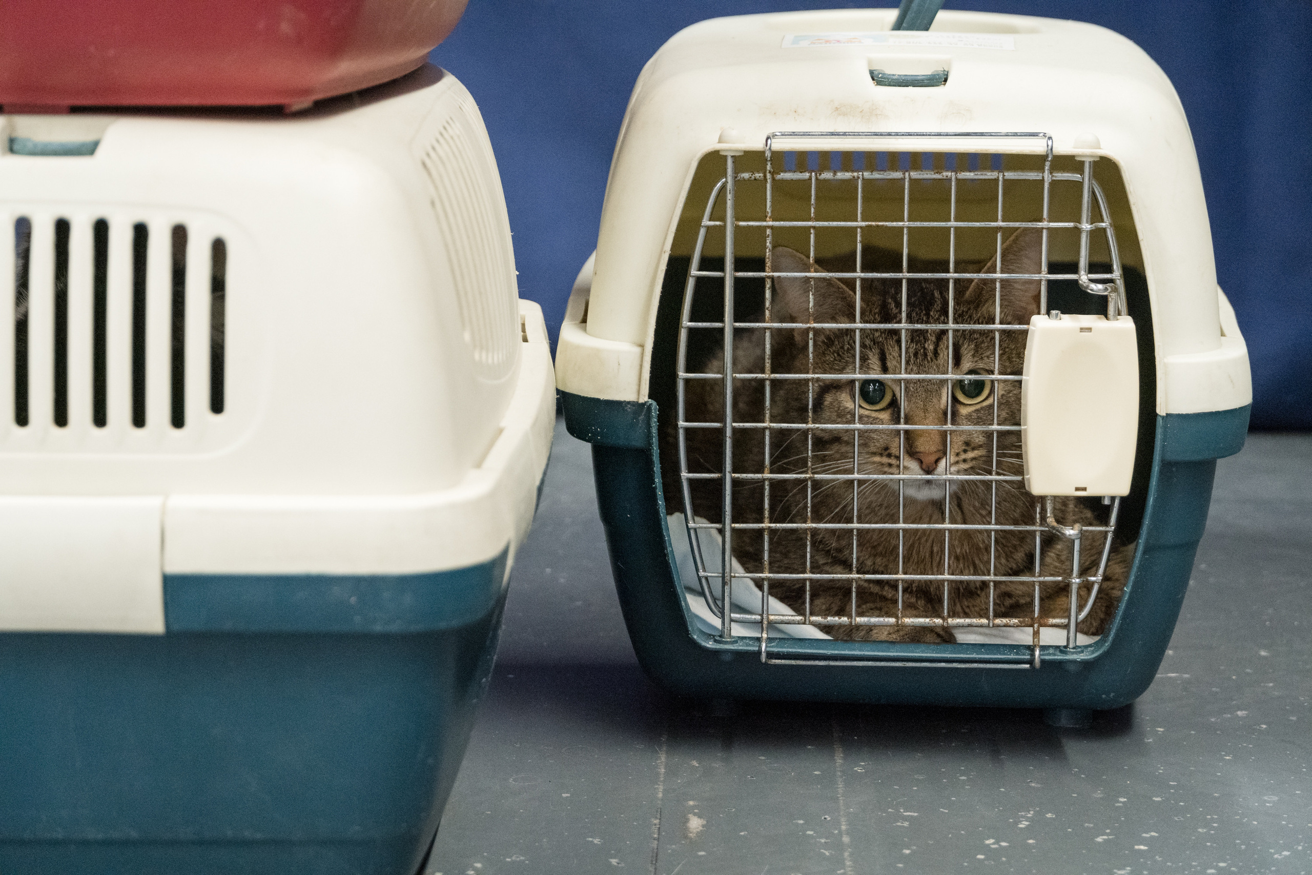 Репортажная фотосъемка мероприятия. Интерьерный и архитектурный фотограф в Москве Панова Ольга