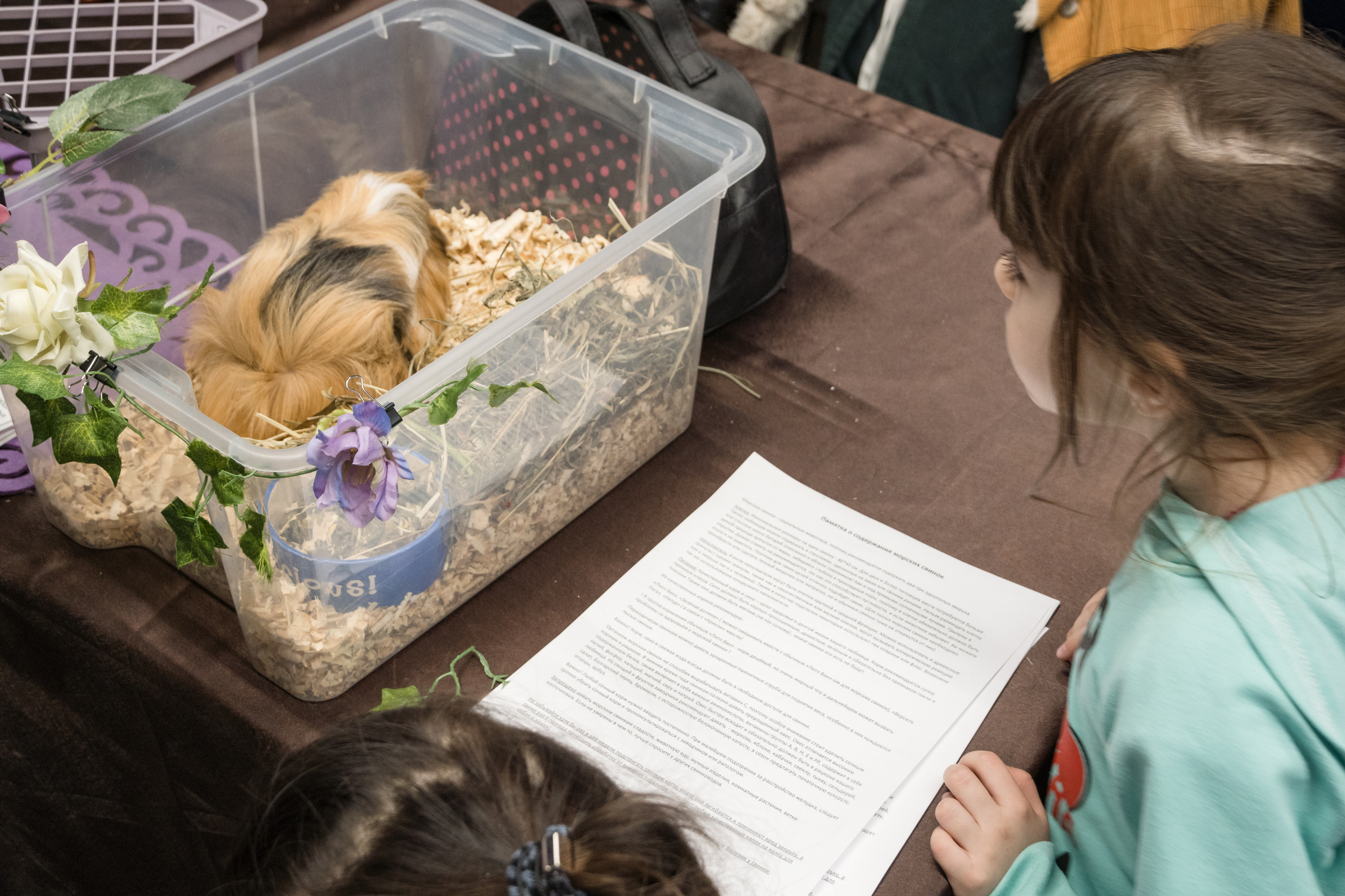 Репортажная фотосъемка мероприятия. Интерьерный и архитектурный фотограф в Москве Панова Ольга