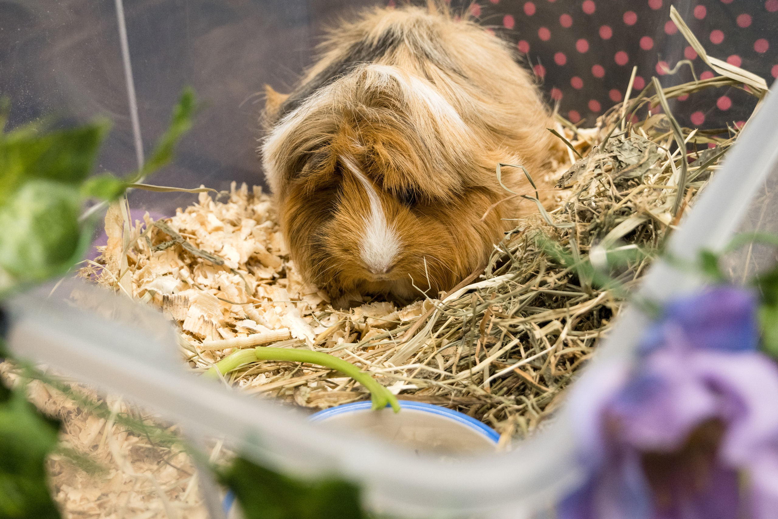 Репортажная фотосъемка мероприятия. Интерьерный и архитектурный фотограф в Москве Панова Ольга