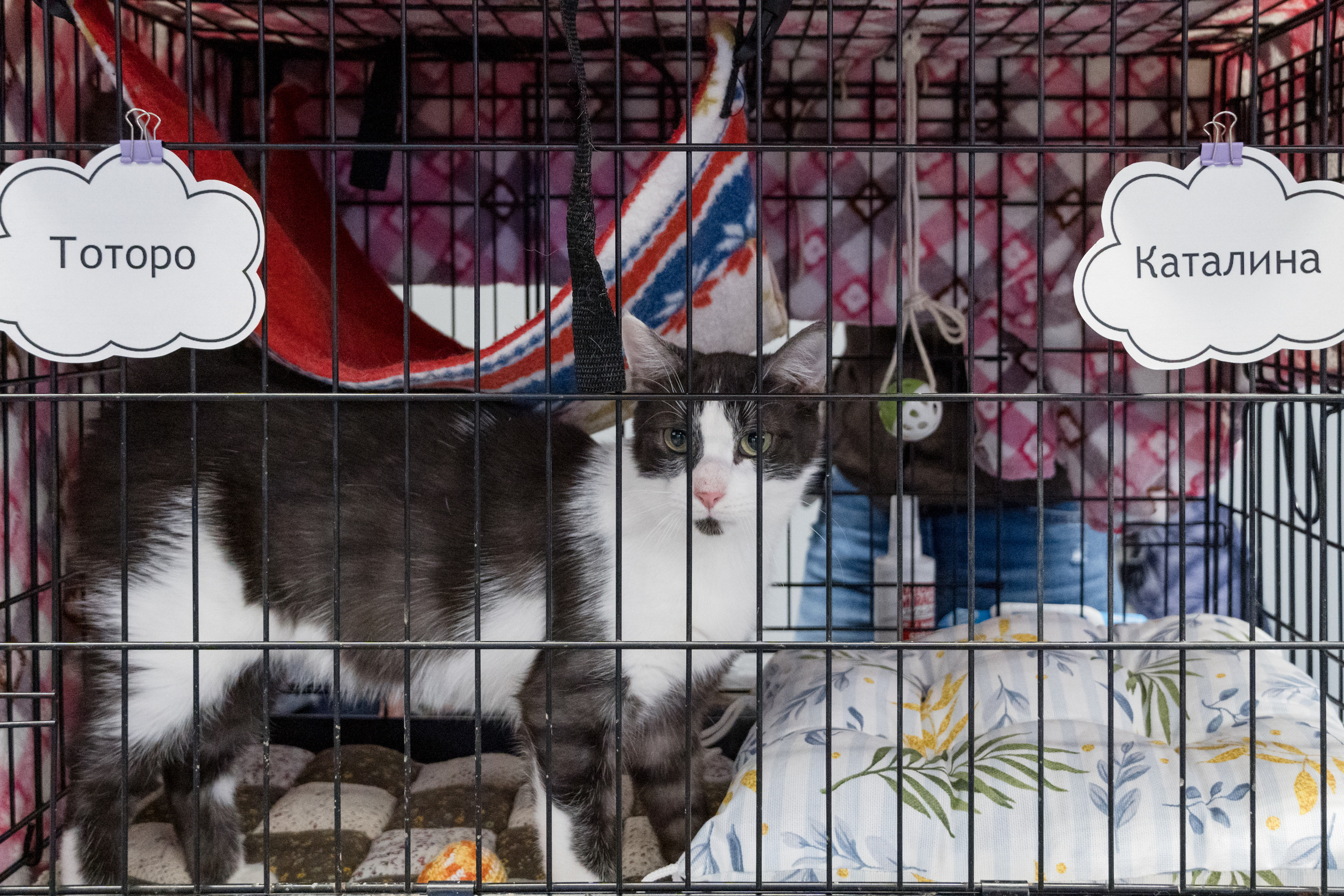 Репортажная фотосъемка мероприятия. Интерьерный и архитектурный фотограф в Москве Панова Ольга