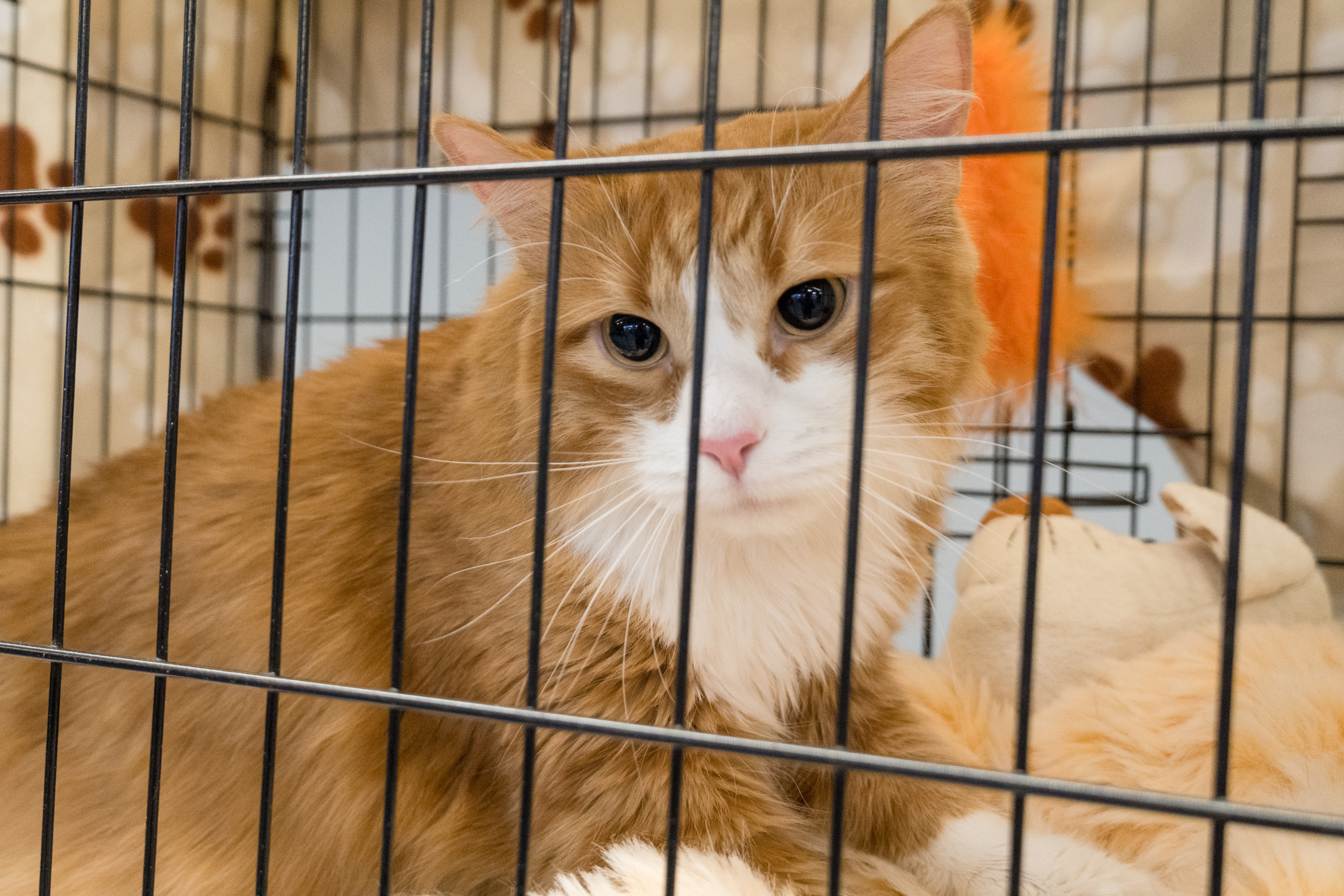 Репортажная фотосъемка мероприятия. Интерьерный и архитектурный фотограф в Москве Панова Ольга