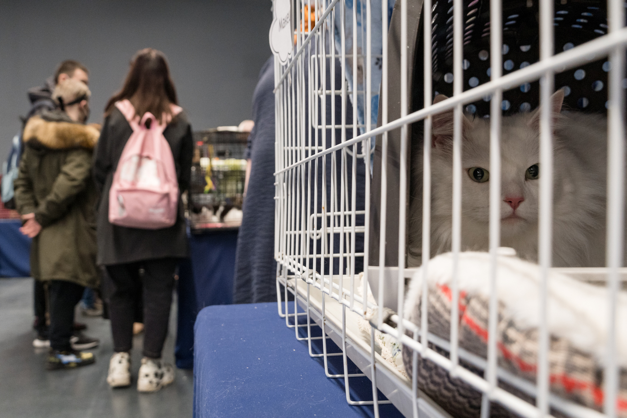 Репортажная фотосъемка мероприятия. Интерьерный и архитектурный фотограф в Москве Панова Ольга