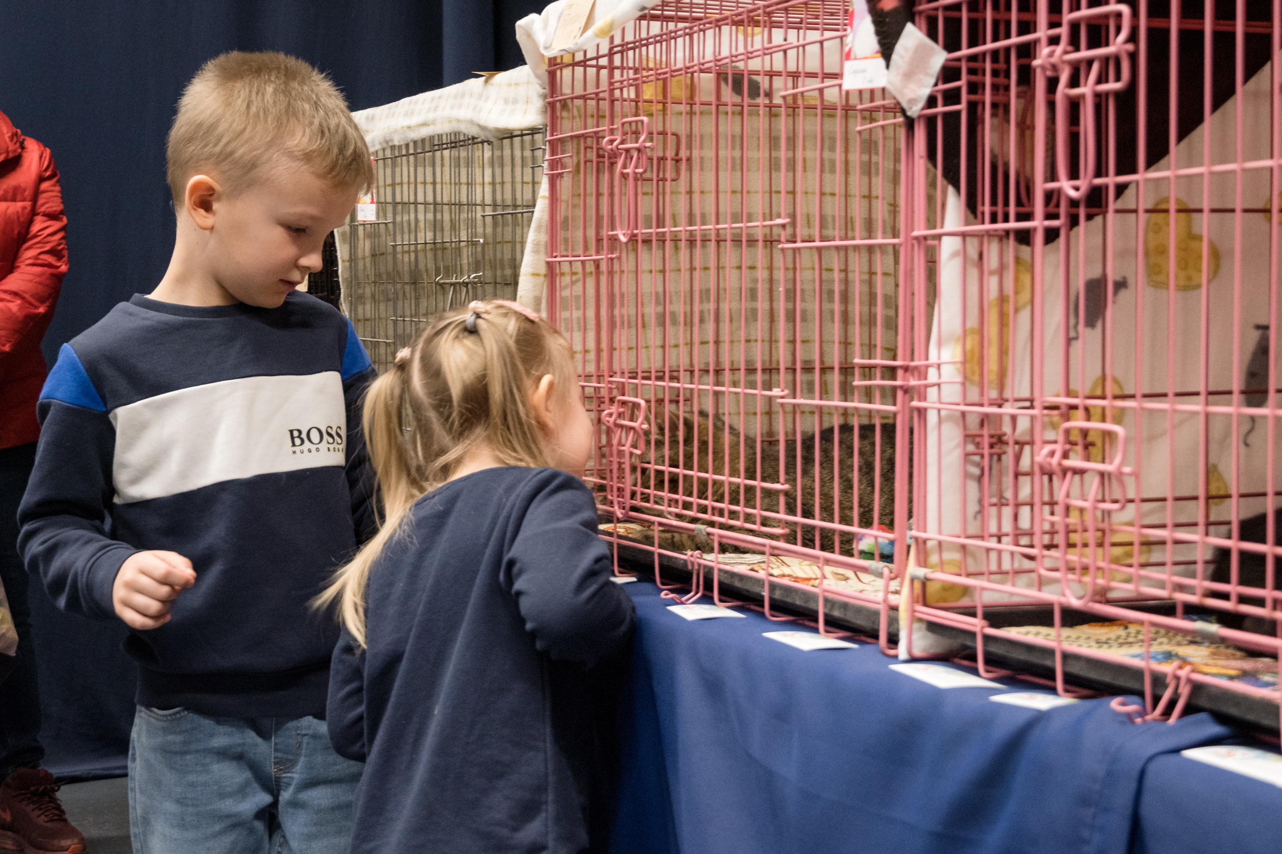 Репортажная фотосъемка мероприятия. Интерьерный и архитектурный фотограф в Москве Панова Ольга