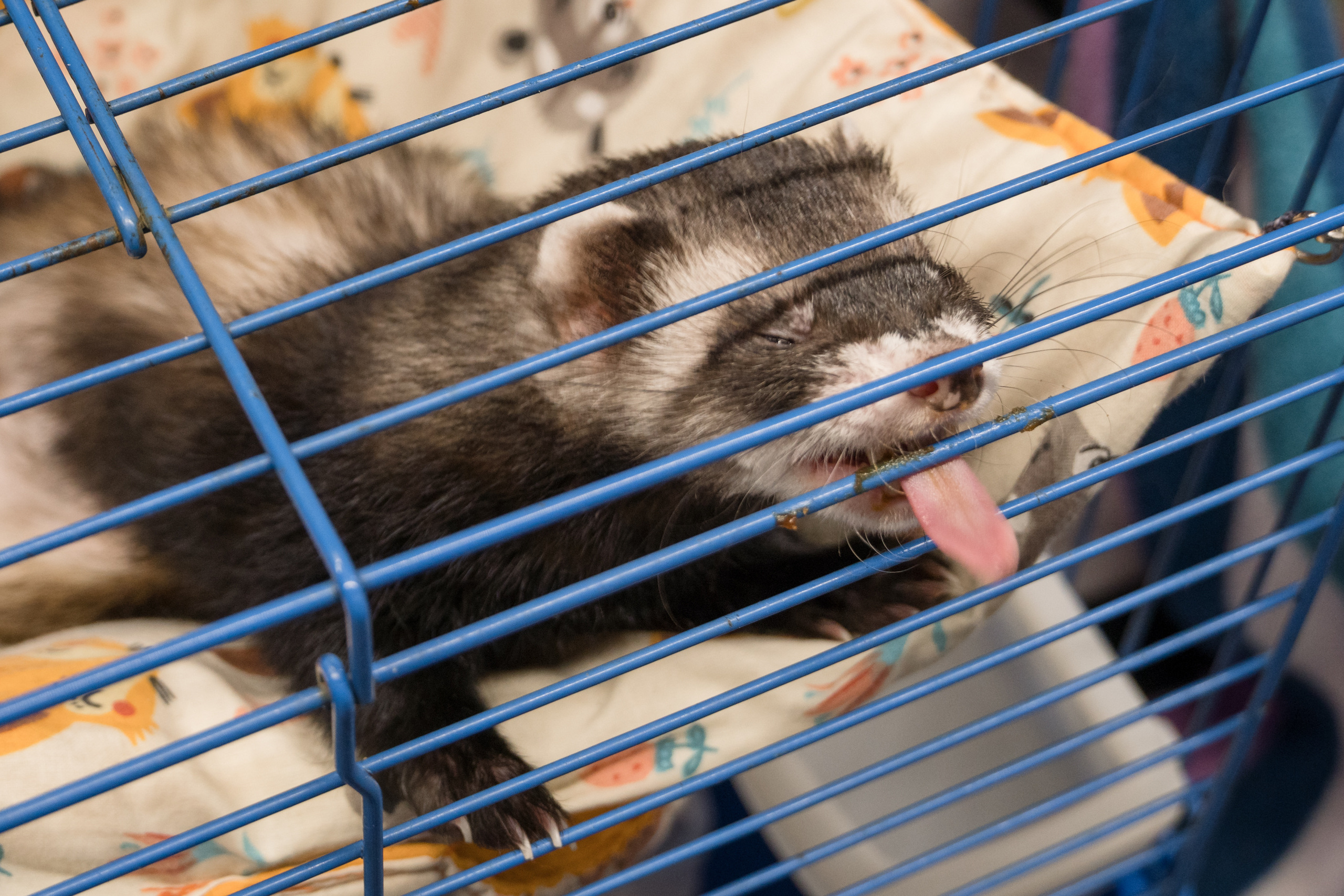 Репортажная фотосъемка мероприятия. Интерьерный и архитектурный фотограф в Москве Панова Ольга