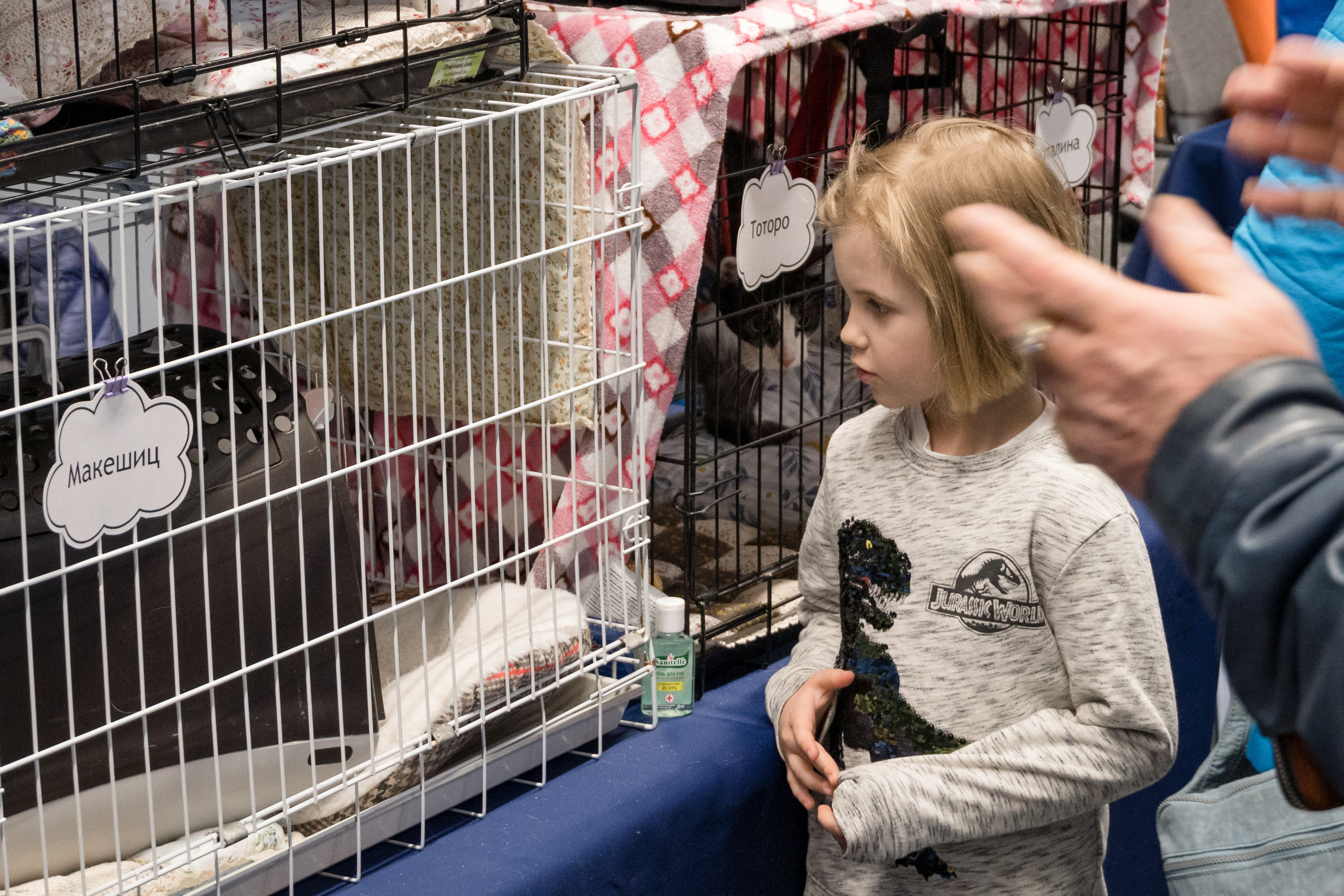 Репортажная фотосъемка мероприятия. Интерьерный и архитектурный фотограф в Москве Панова Ольга