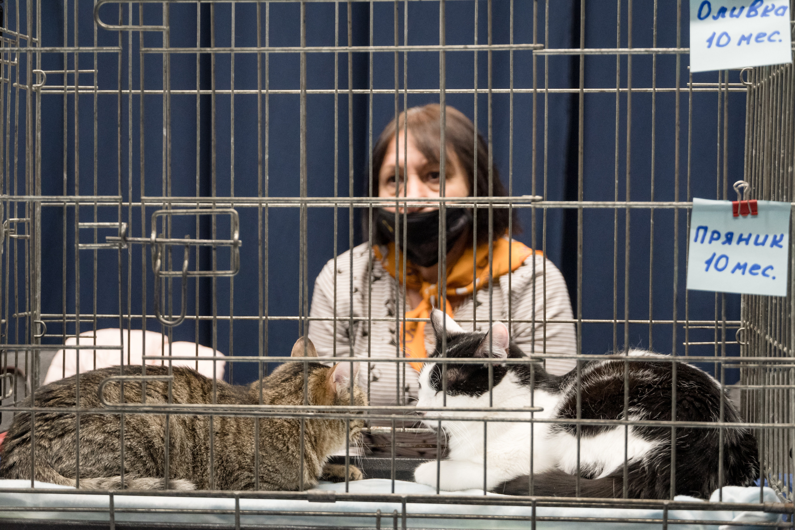 Репортажная фотосъемка мероприятия. Интерьерный и архитектурный фотограф в Москве Панова Ольга