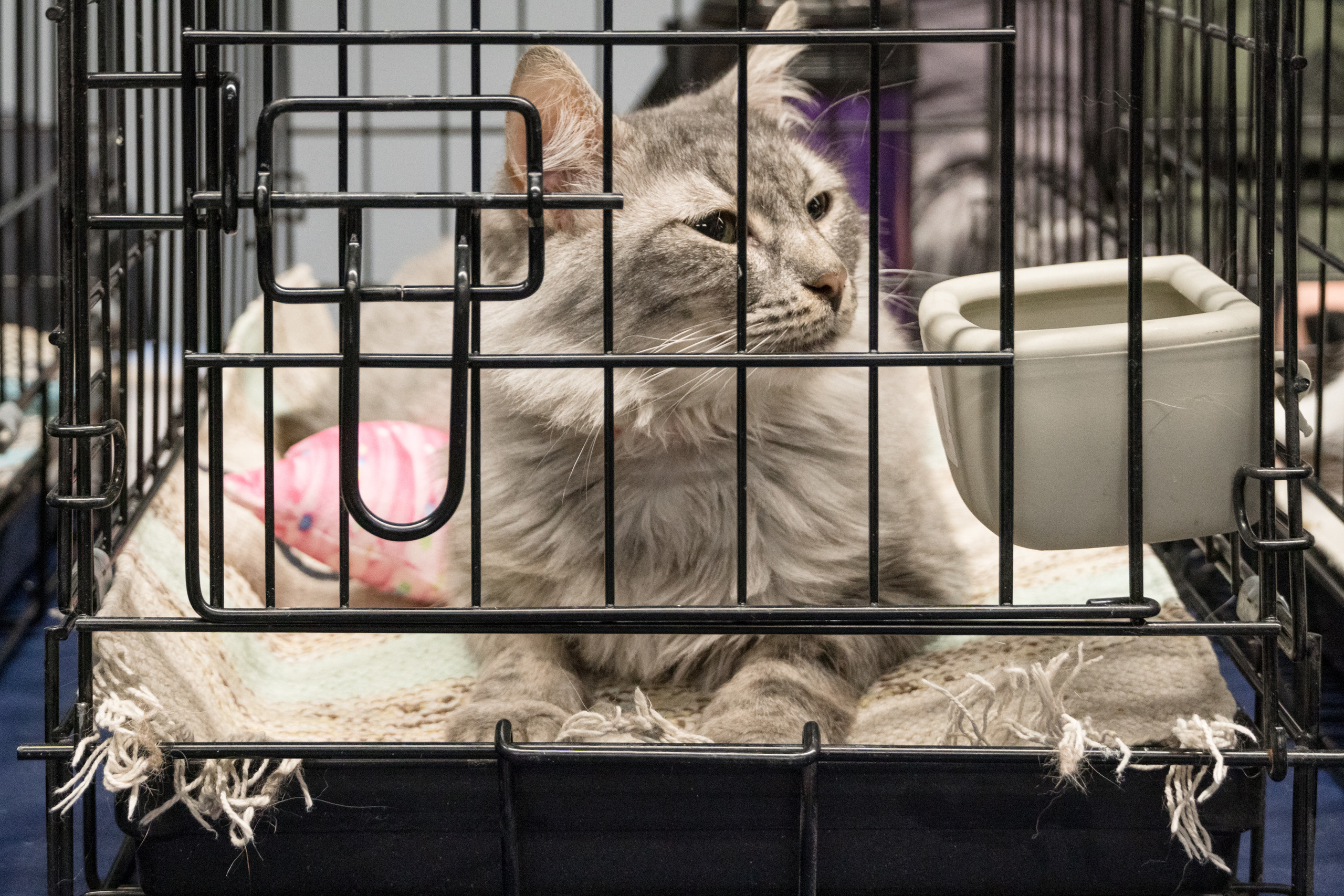 Репортажная фотосъемка мероприятия. Интерьерный и архитектурный фотограф в Москве Панова Ольга