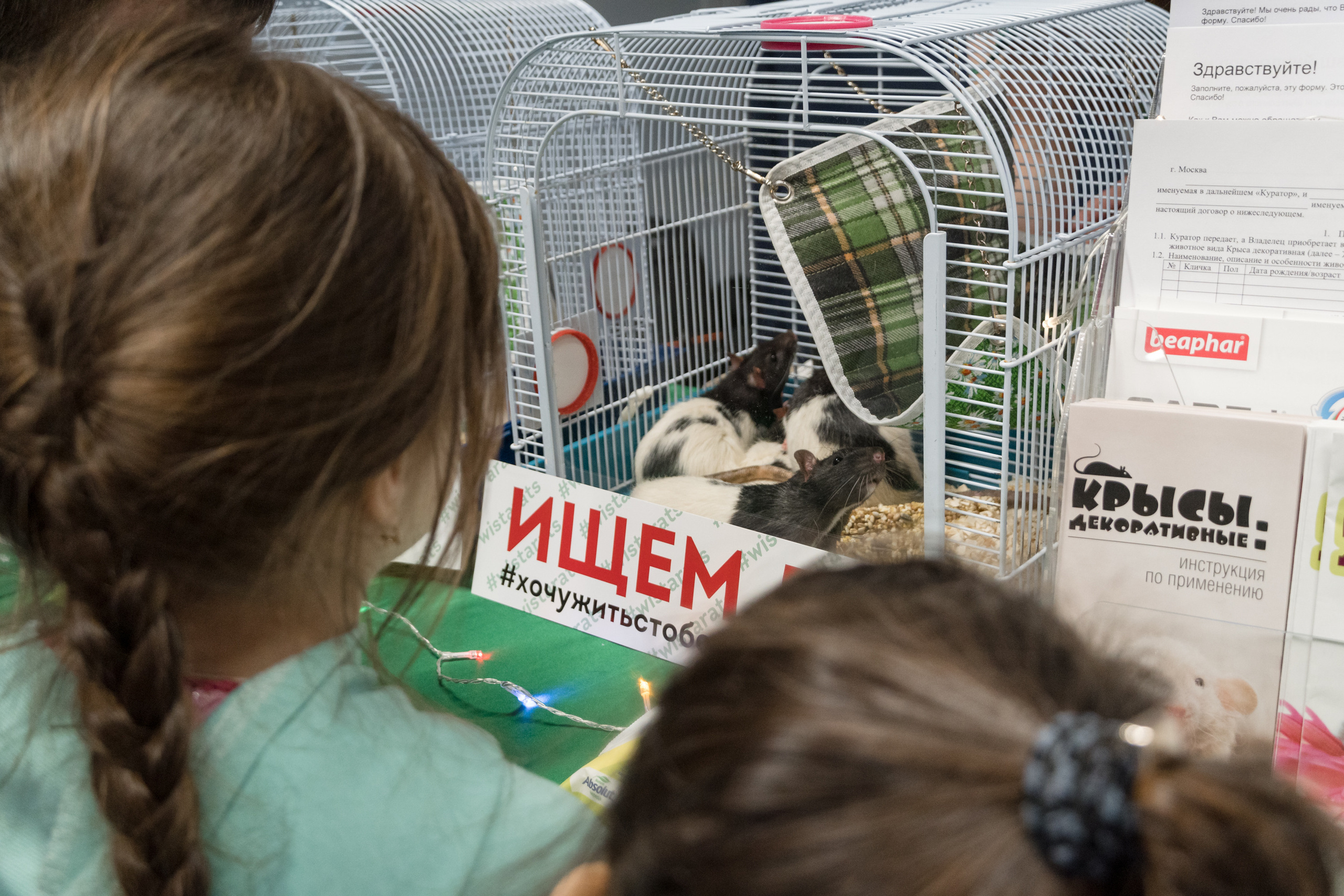 Репортажная фотосъемка мероприятия. Интерьерный и архитектурный фотограф в Москве Панова Ольга