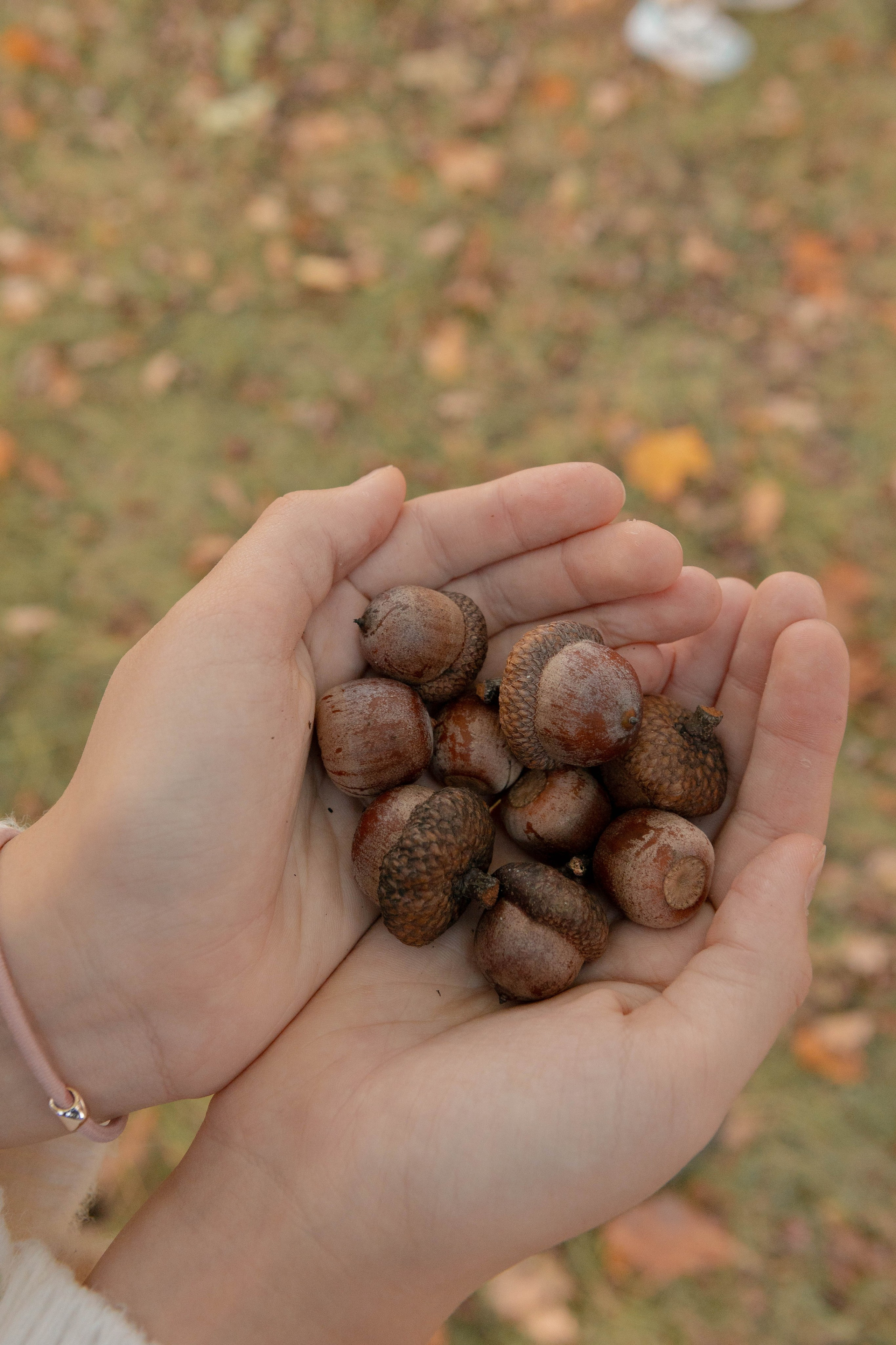 Алена и семья. Наталья Косьянова. Ваш фотограф. Москва