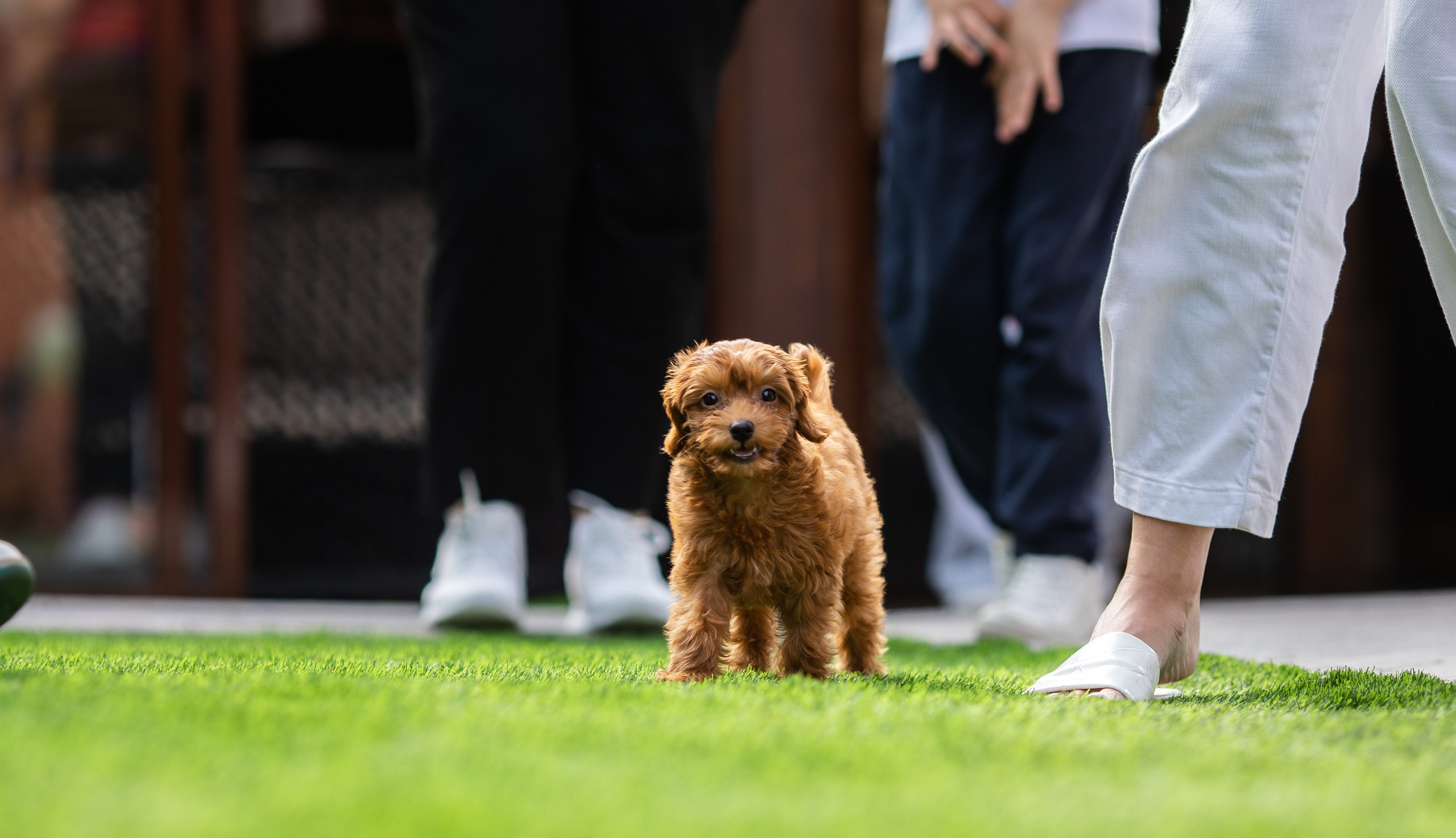 День Рождения Егорки -2025. VoronEvent. Репортажный и свадебный фотограф в Челябинске Елисеев Павел