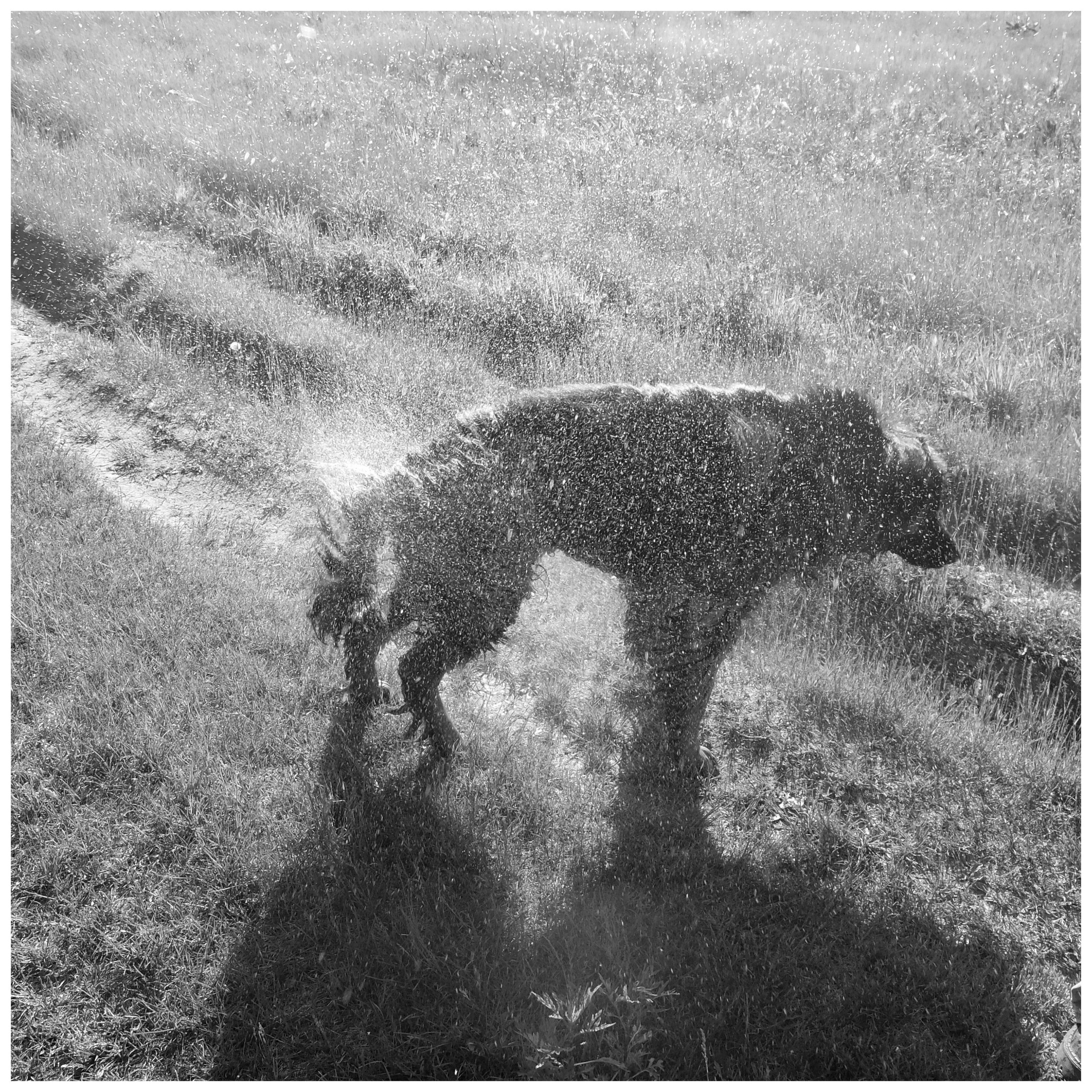 Промежуточные моменты (2022)