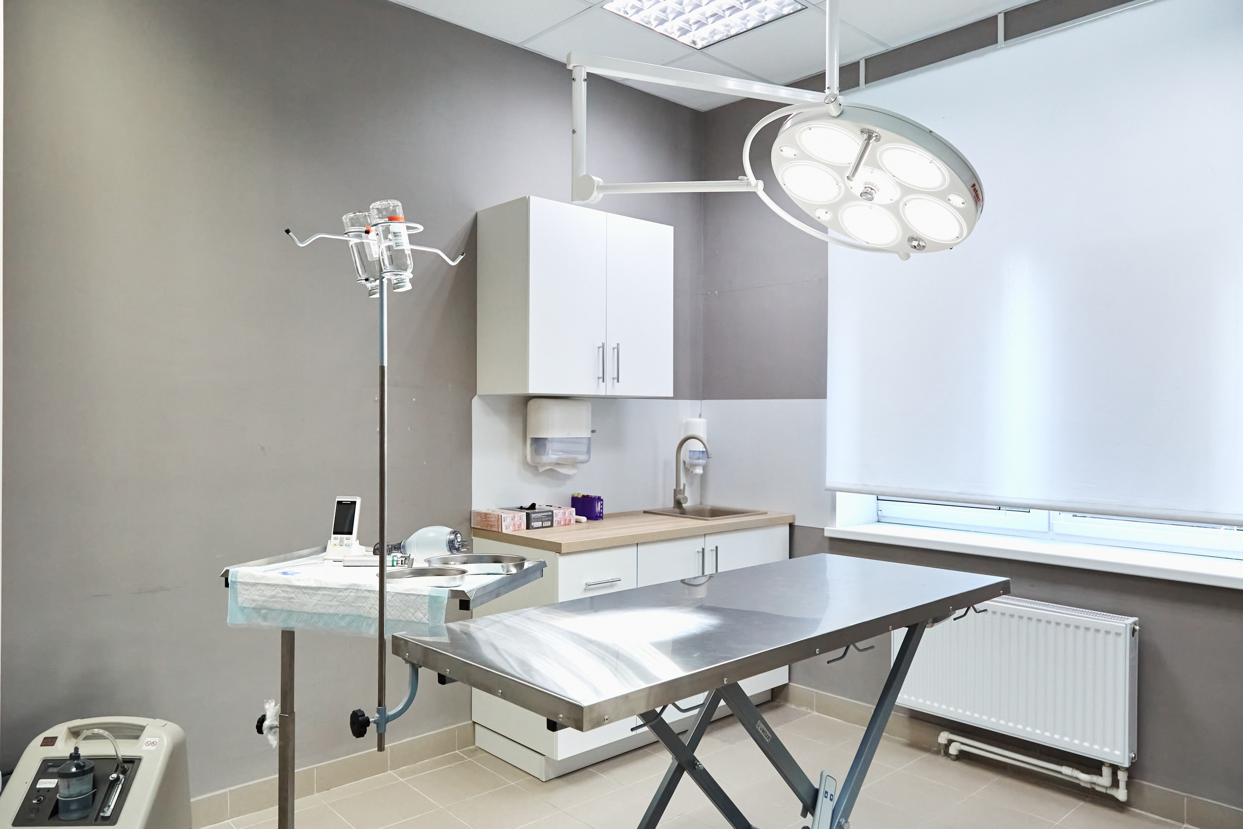 Клиника кошек. Фотограф Анастасия Леонтьева Санкт-Петербург