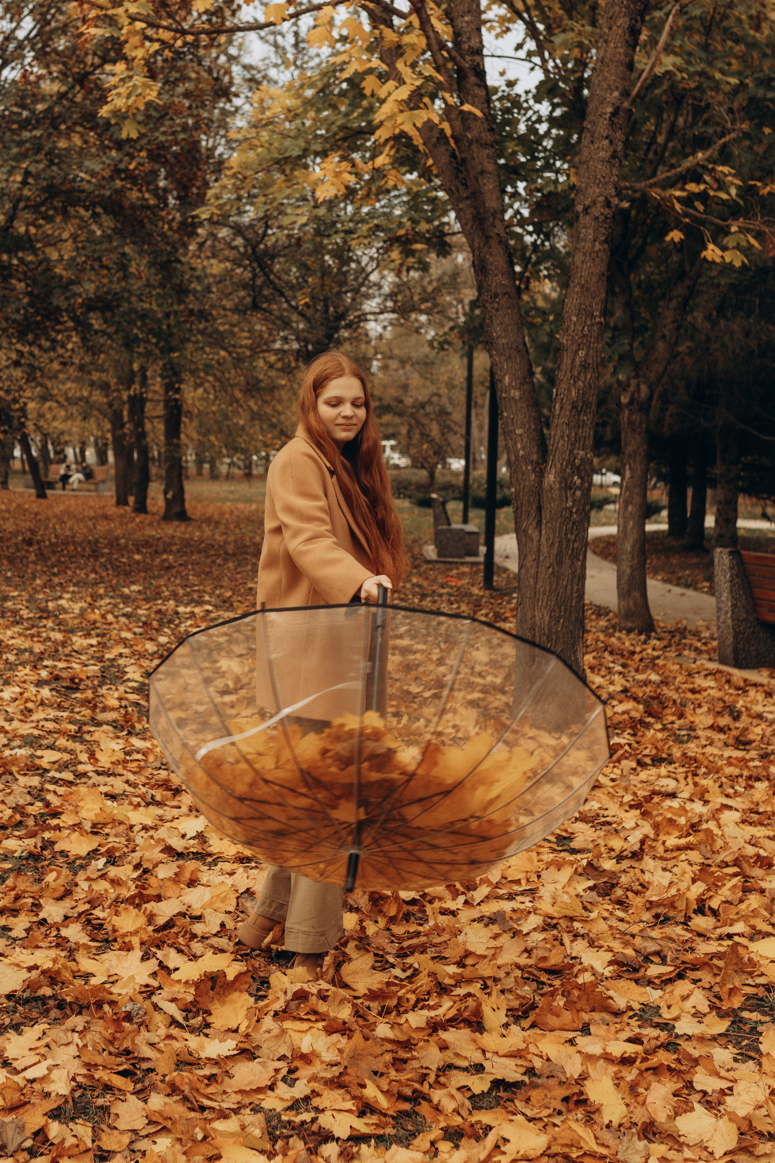 Золотая осень. Индивидуальная съёмка. Фотограф в Ставрополе Svetlana Matveeva