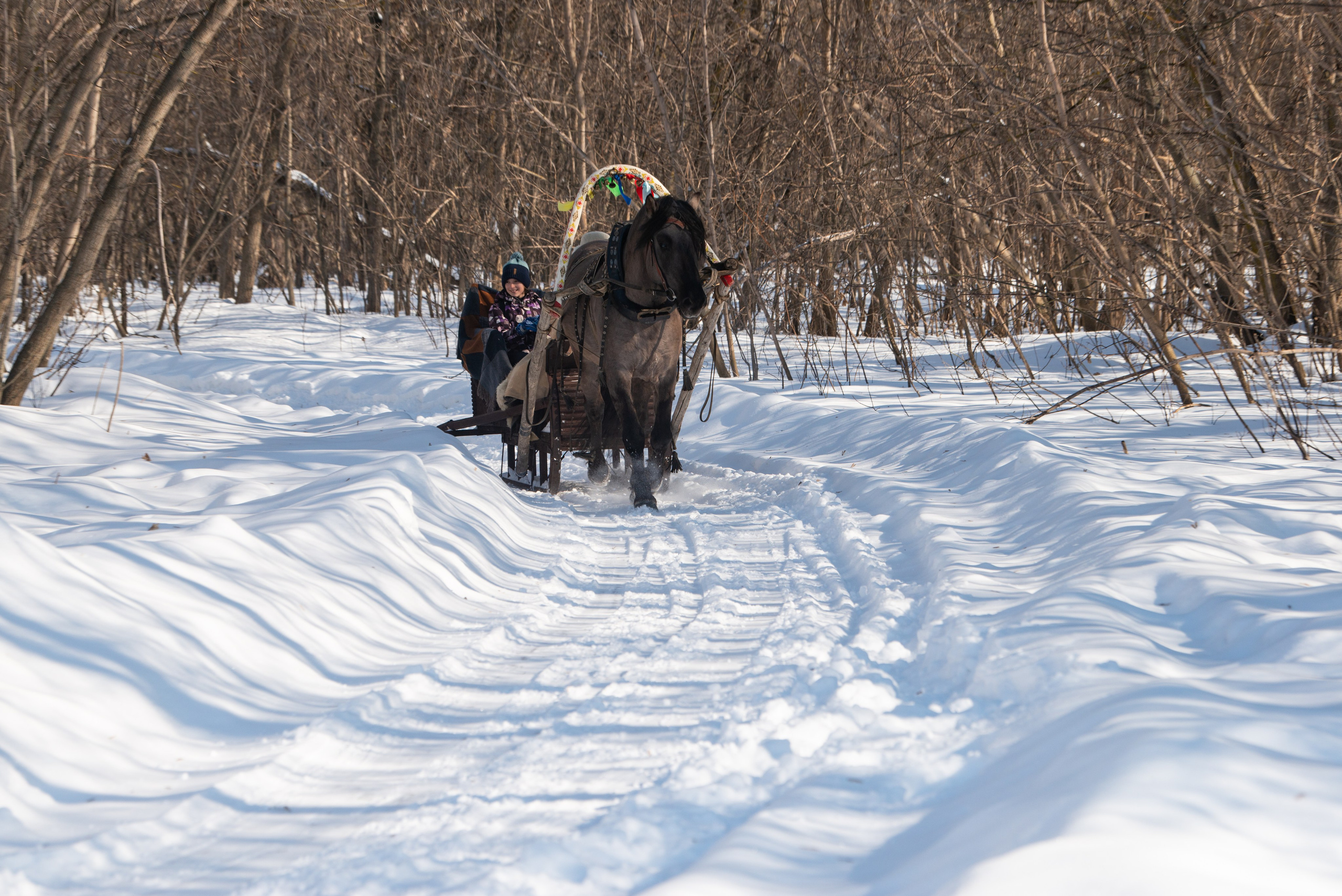 Масленичные гулянья в Боковке. Конный фотограф в Саратове Юлия Иванова