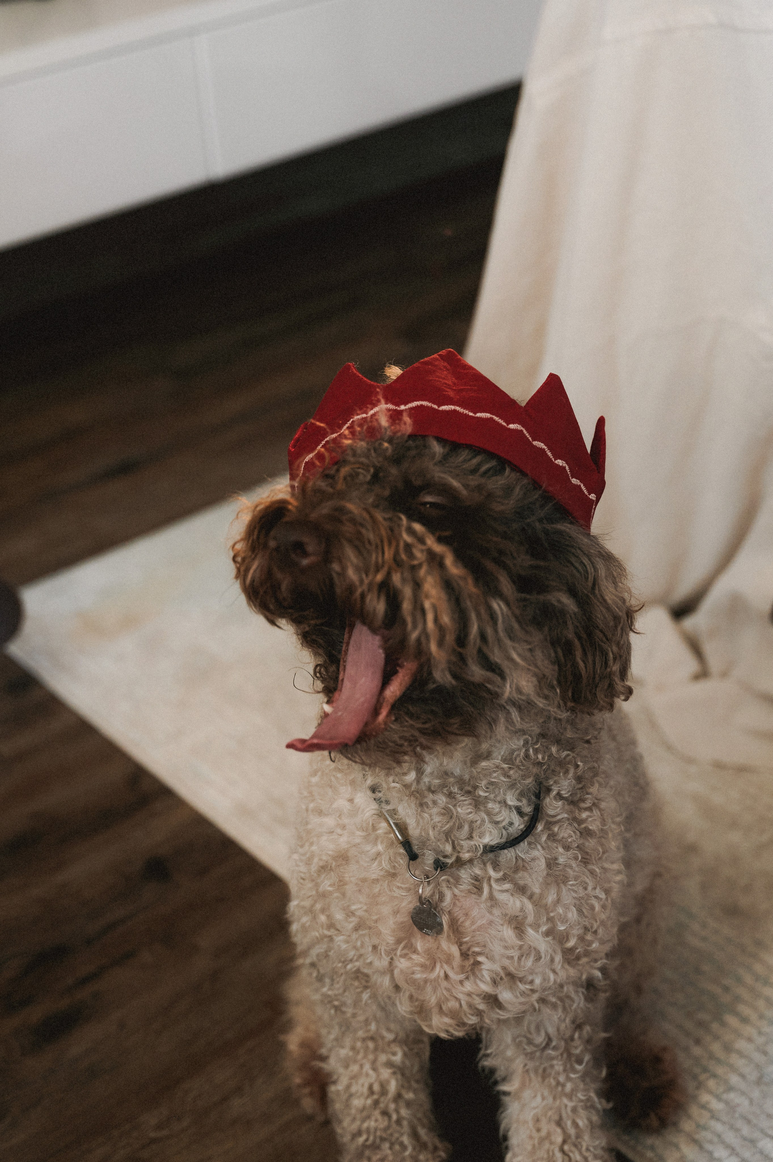 Рождество дома. Фотограф Регина С