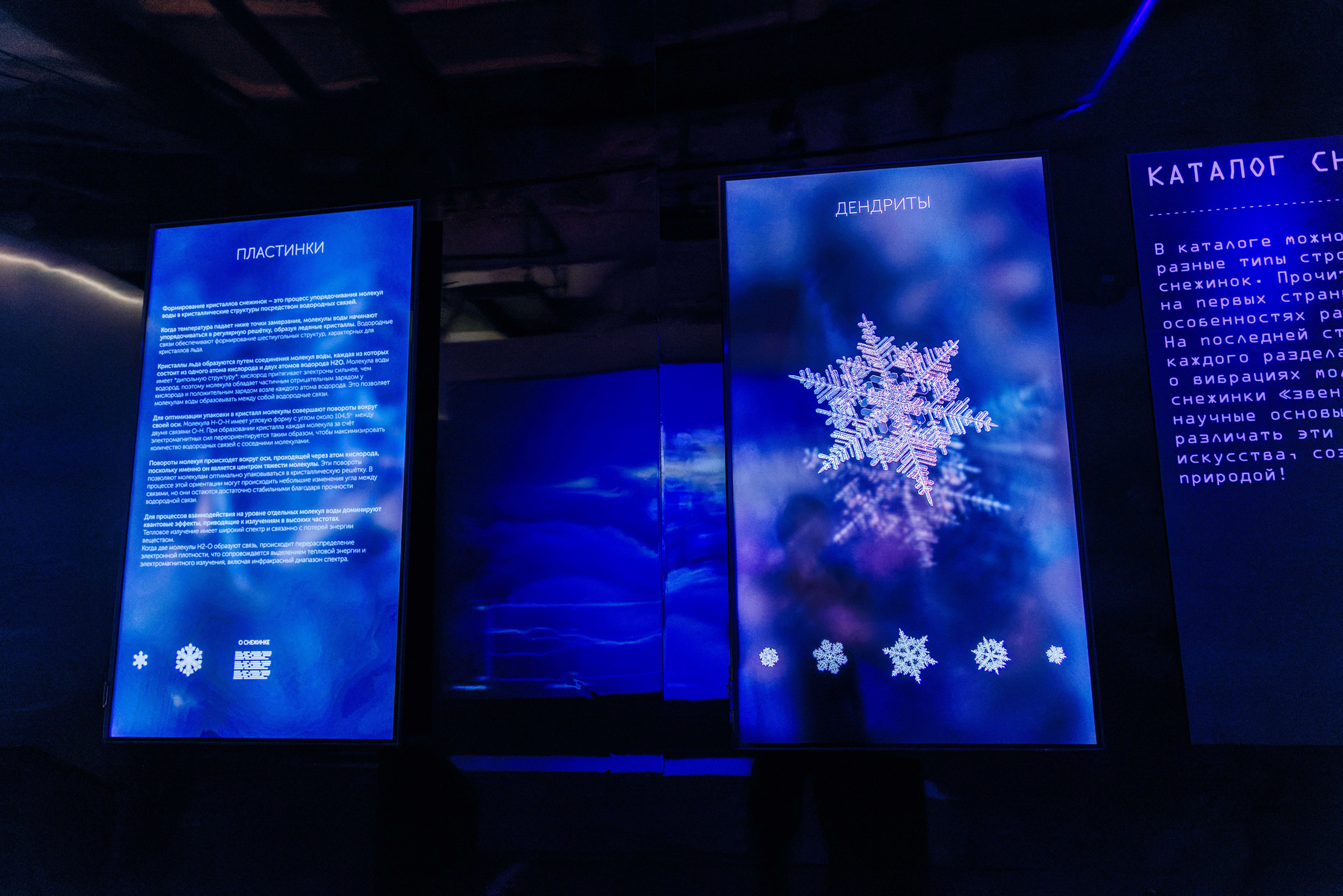 Лед. Жизнь — познавательно-развлекательная выставка. Фотограф Балаев Михаил