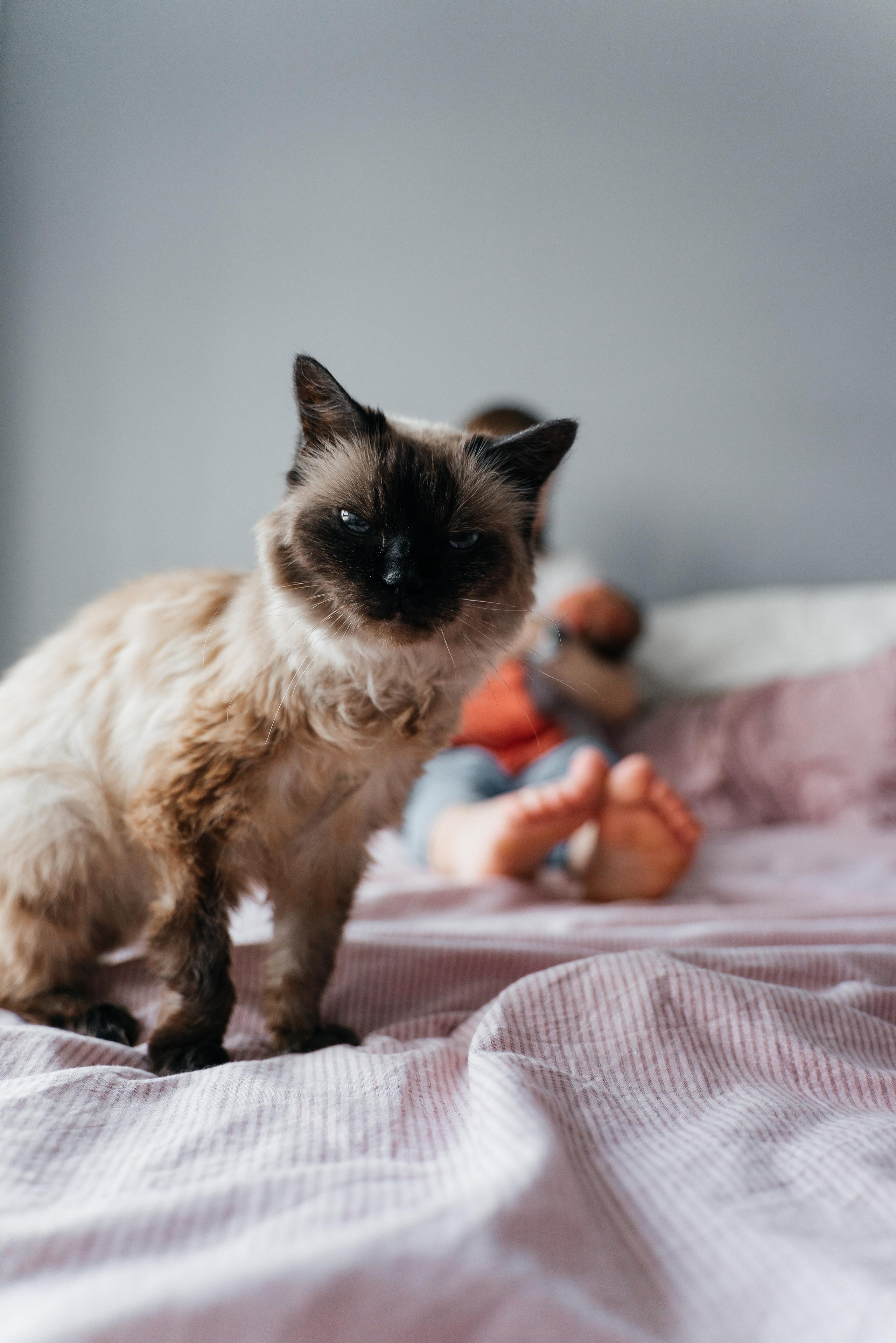 Андрей, Таня и Оливия. Волик Мария