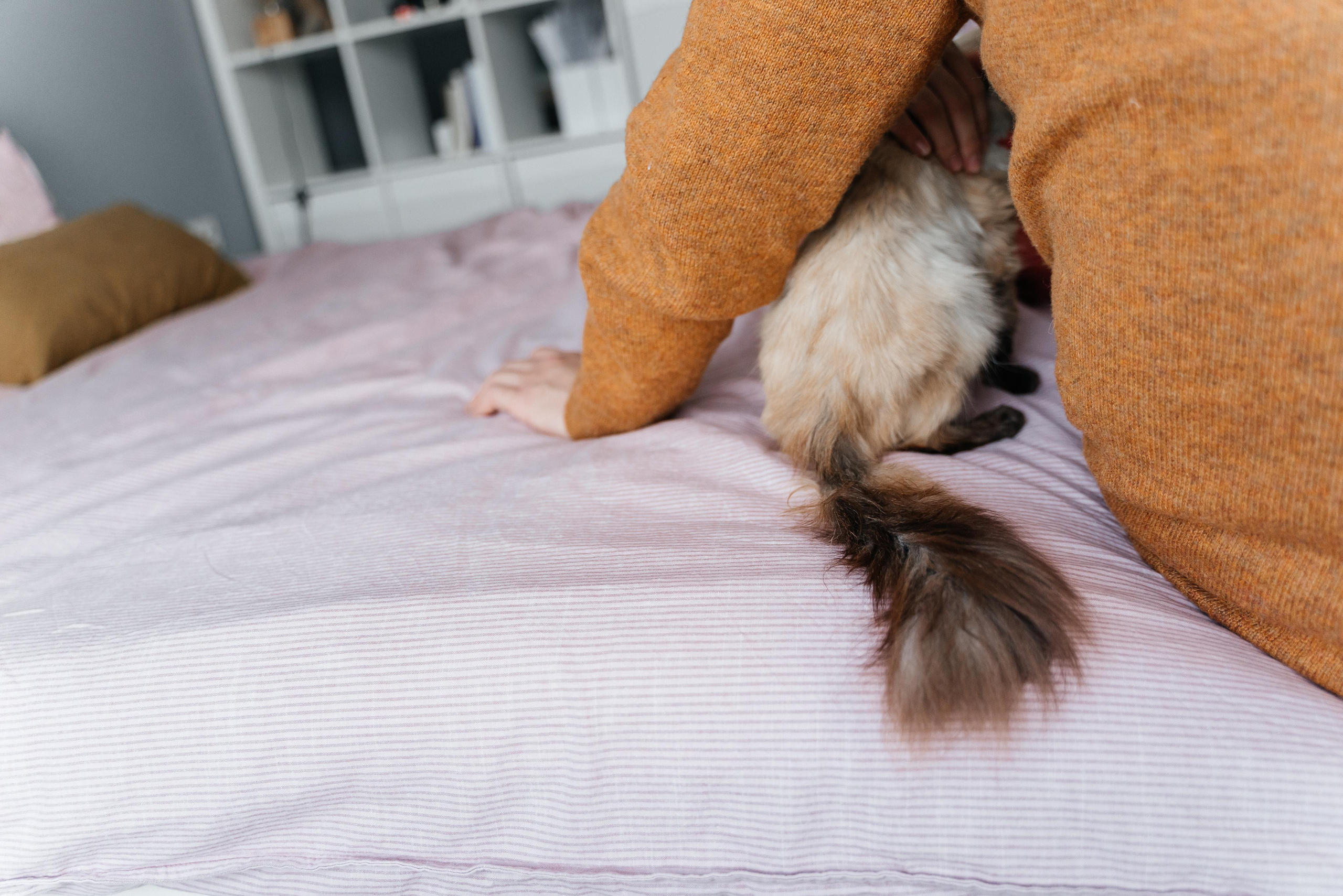 Андрей, Таня и Оливия. Волик Мария