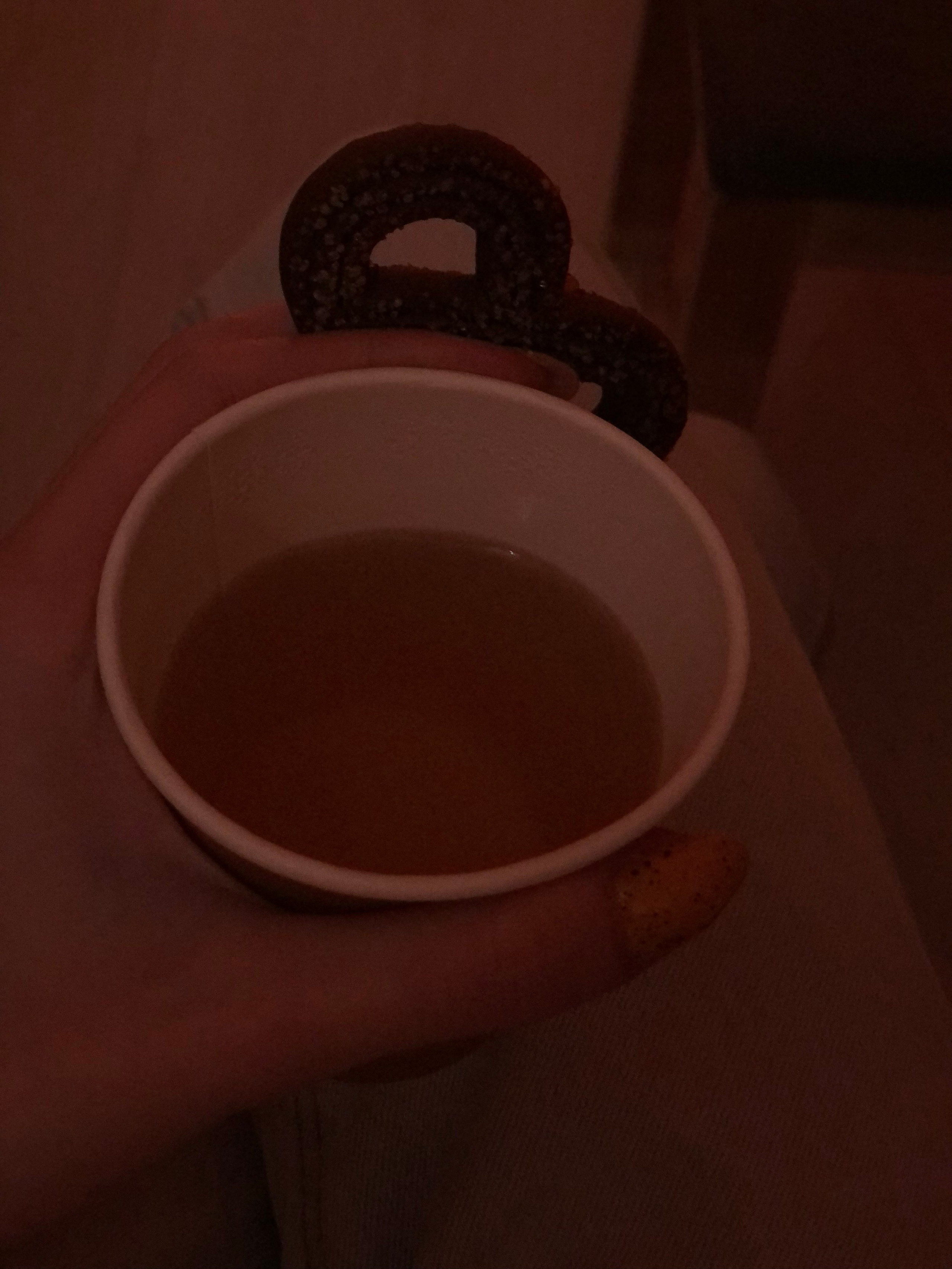 Ноябрь. Семейный, Свадебный фотограф СПБ Питер— Романова Екатерина