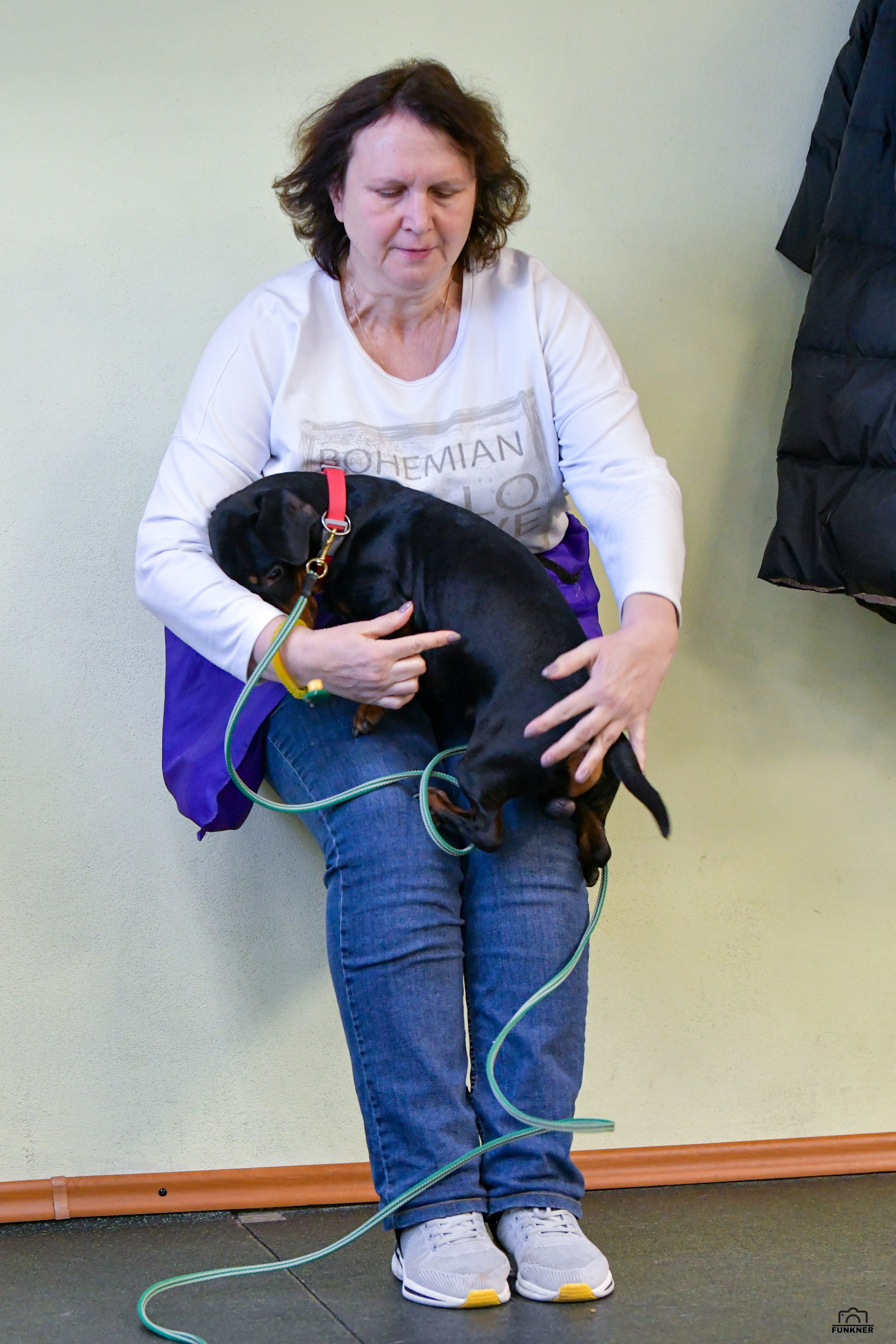 Кинологический клуб «Бодрый хвост». Свой взгляд через объектив