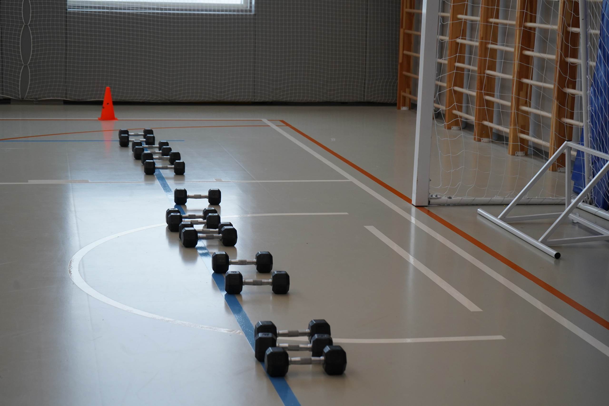 Форум-фестиваль «ПРОдвижение ЗОЖ». Галерея ПрофАС