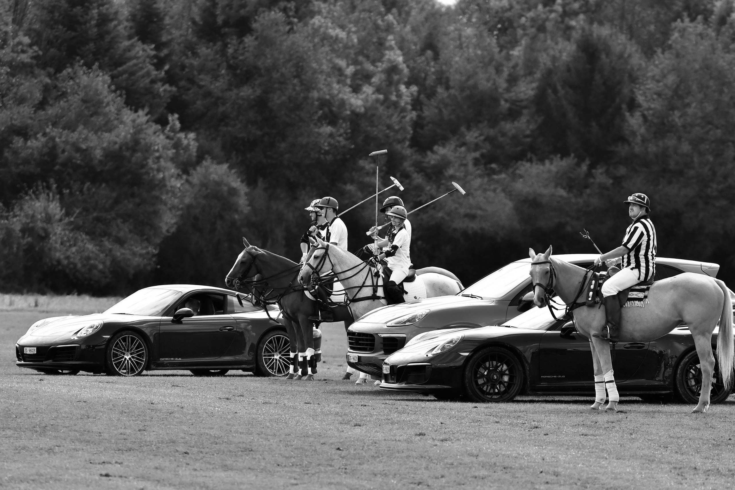 Polo art photos. Art photos of horses — ARTUR BABOEV | Photographer