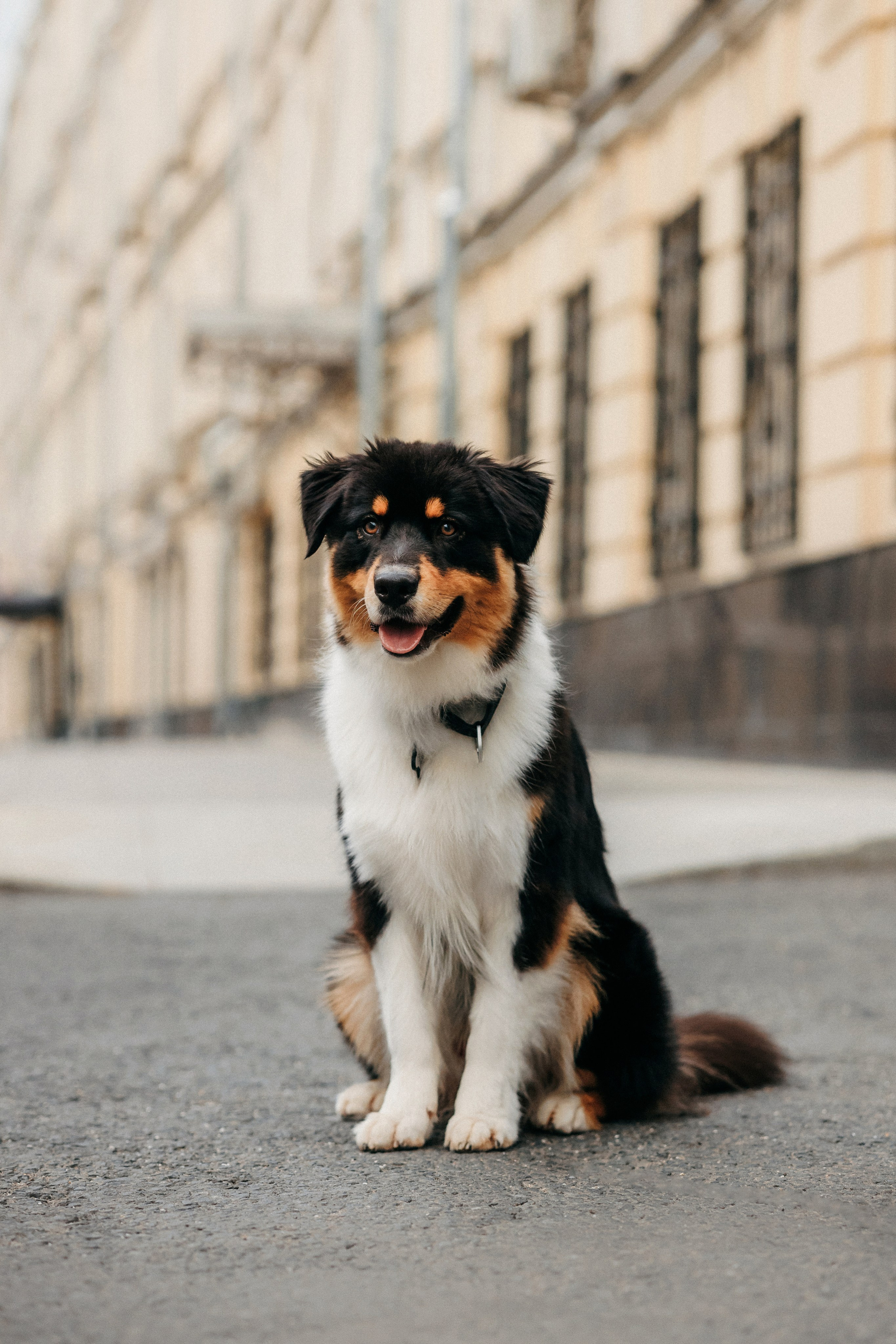 Лена и Рэй. Фотограф-анималист Елена Радченко, Москва