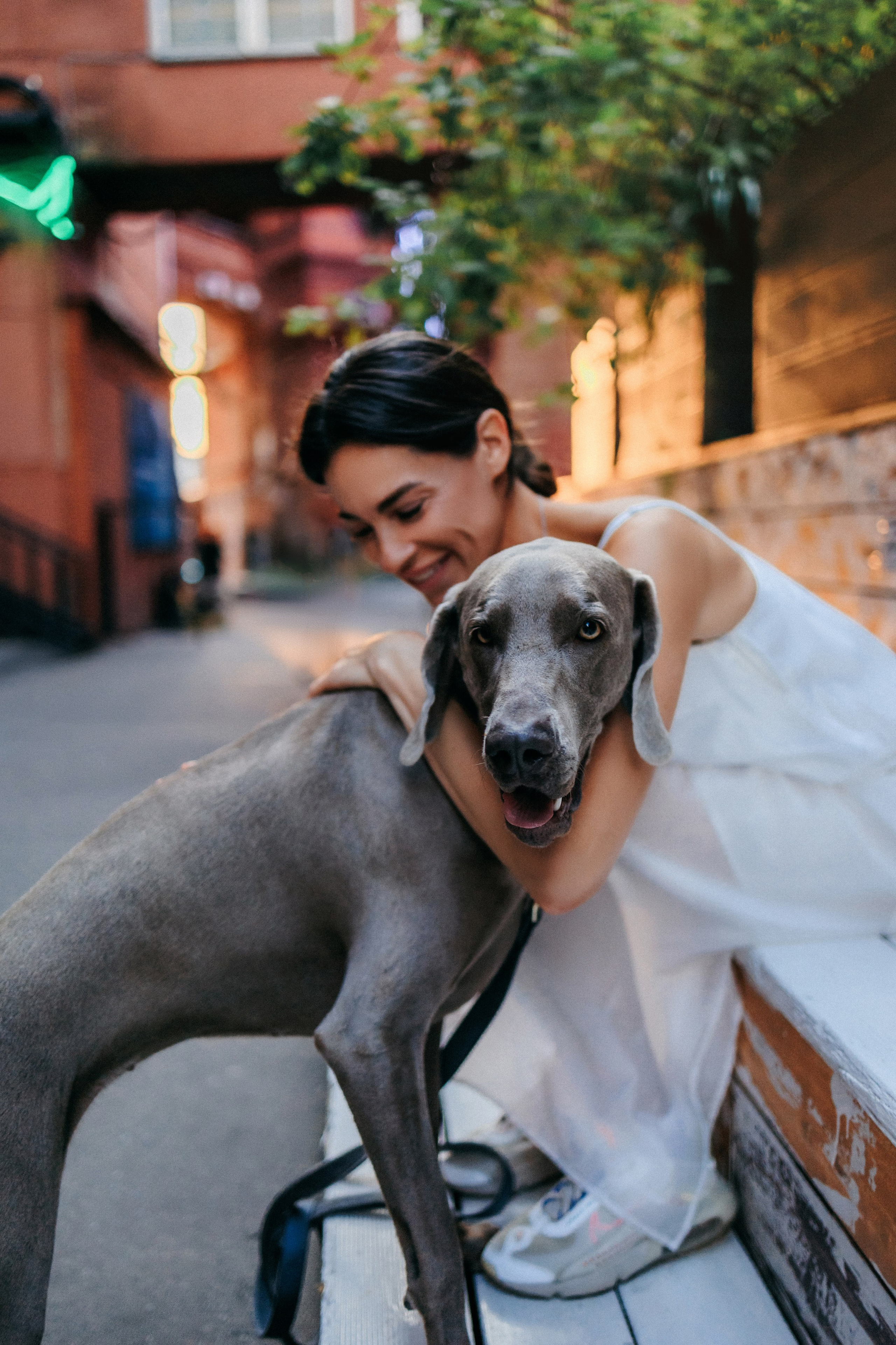 Соня и Майли. Фотограф-анималист Елена Радченко, Москва