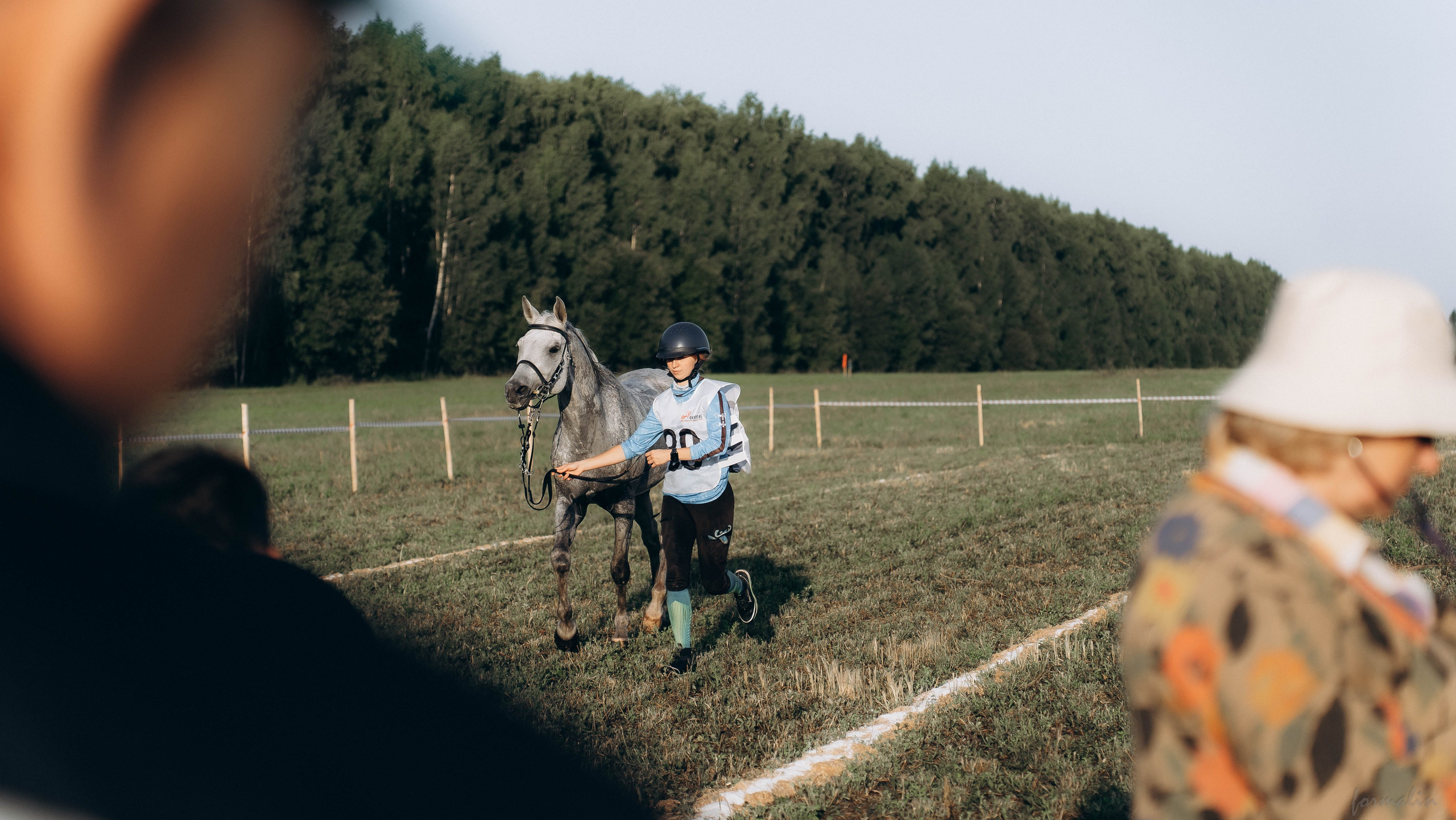 День Коня. Алиса Никитцова | Фотограф в Казани