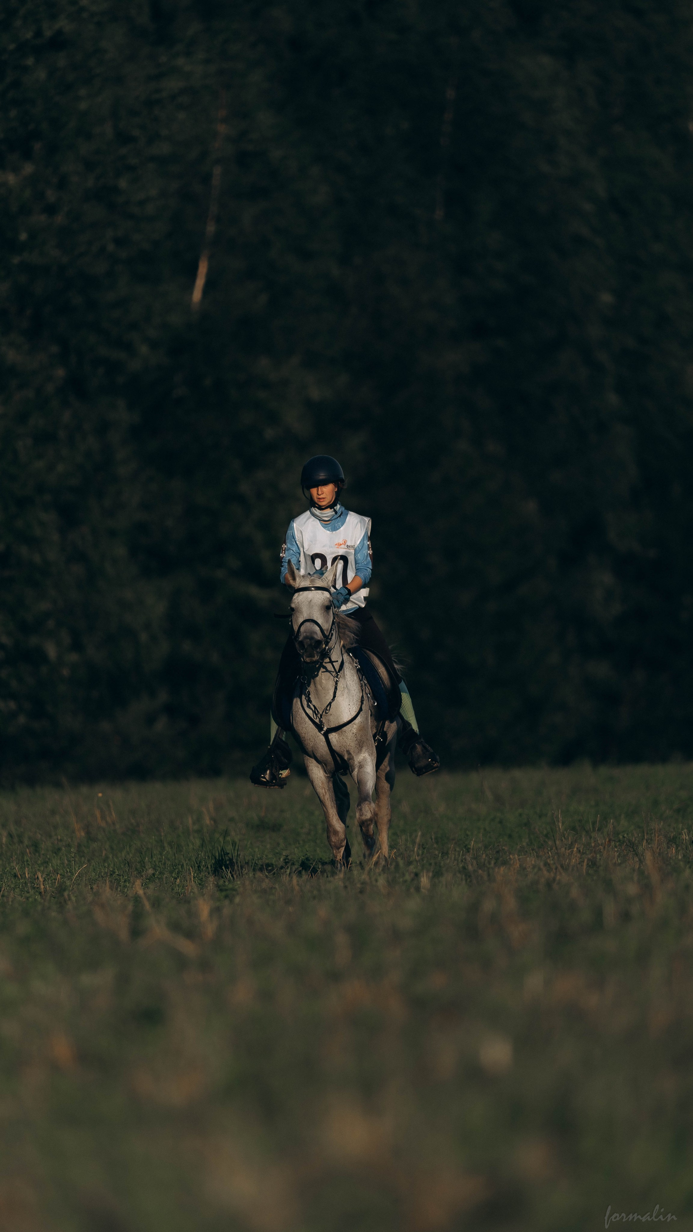 День Коня. Алиса Никитцова | Фотограф в Казани