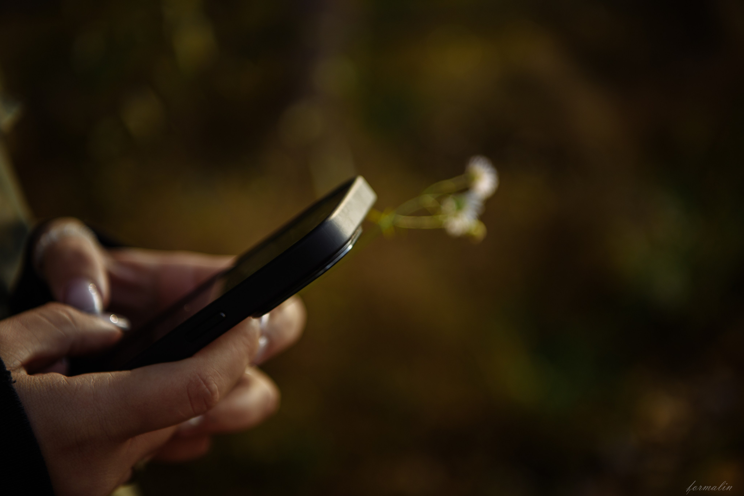 Конная вечеринка. Алиса Никитцова | Фотограф в Казани